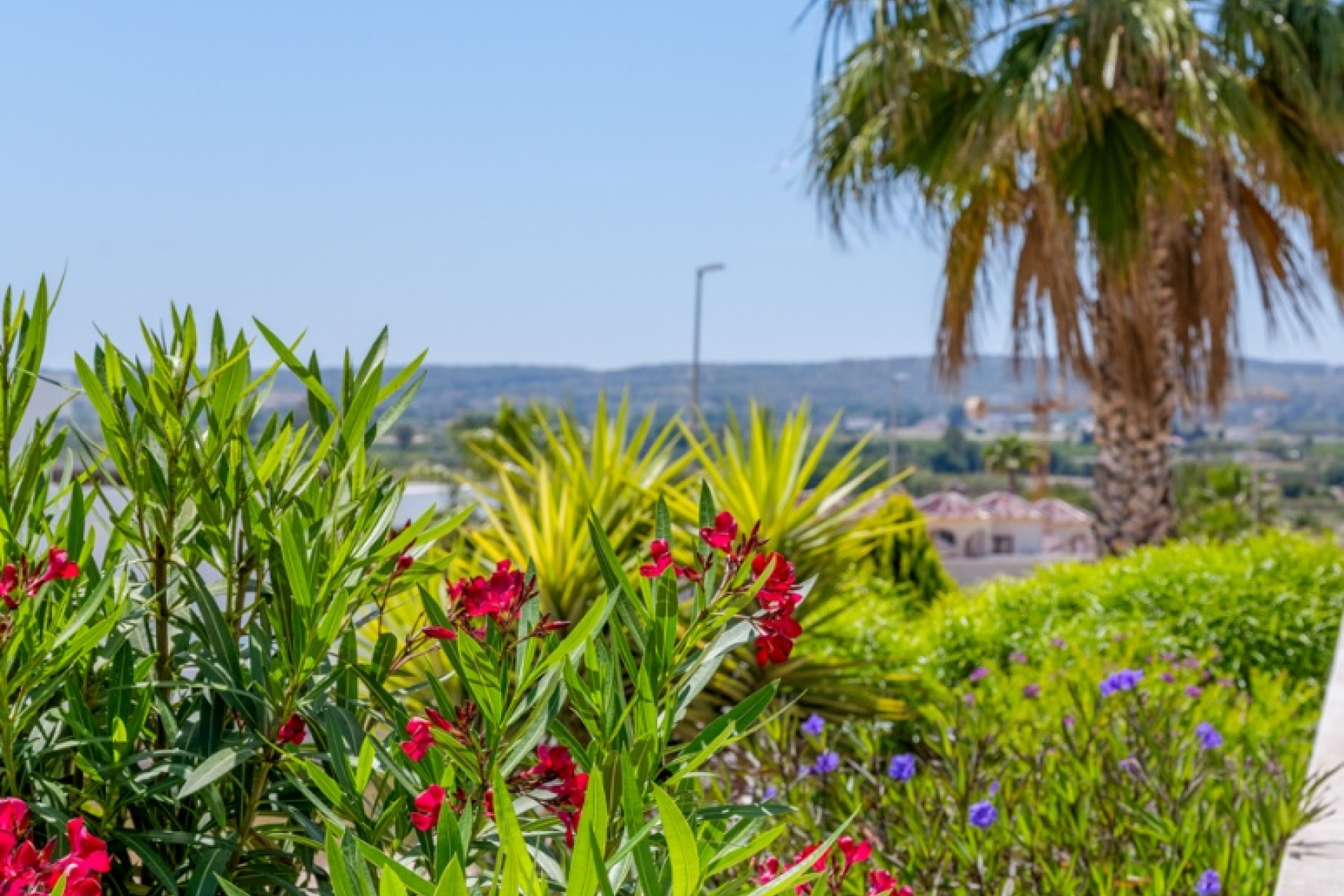 Reventa - Villa - La Marina