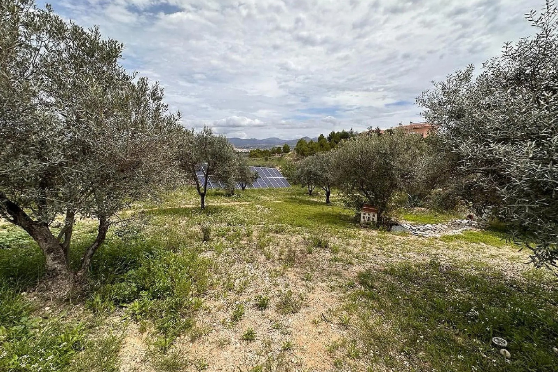 Reventa - Villa - Sax