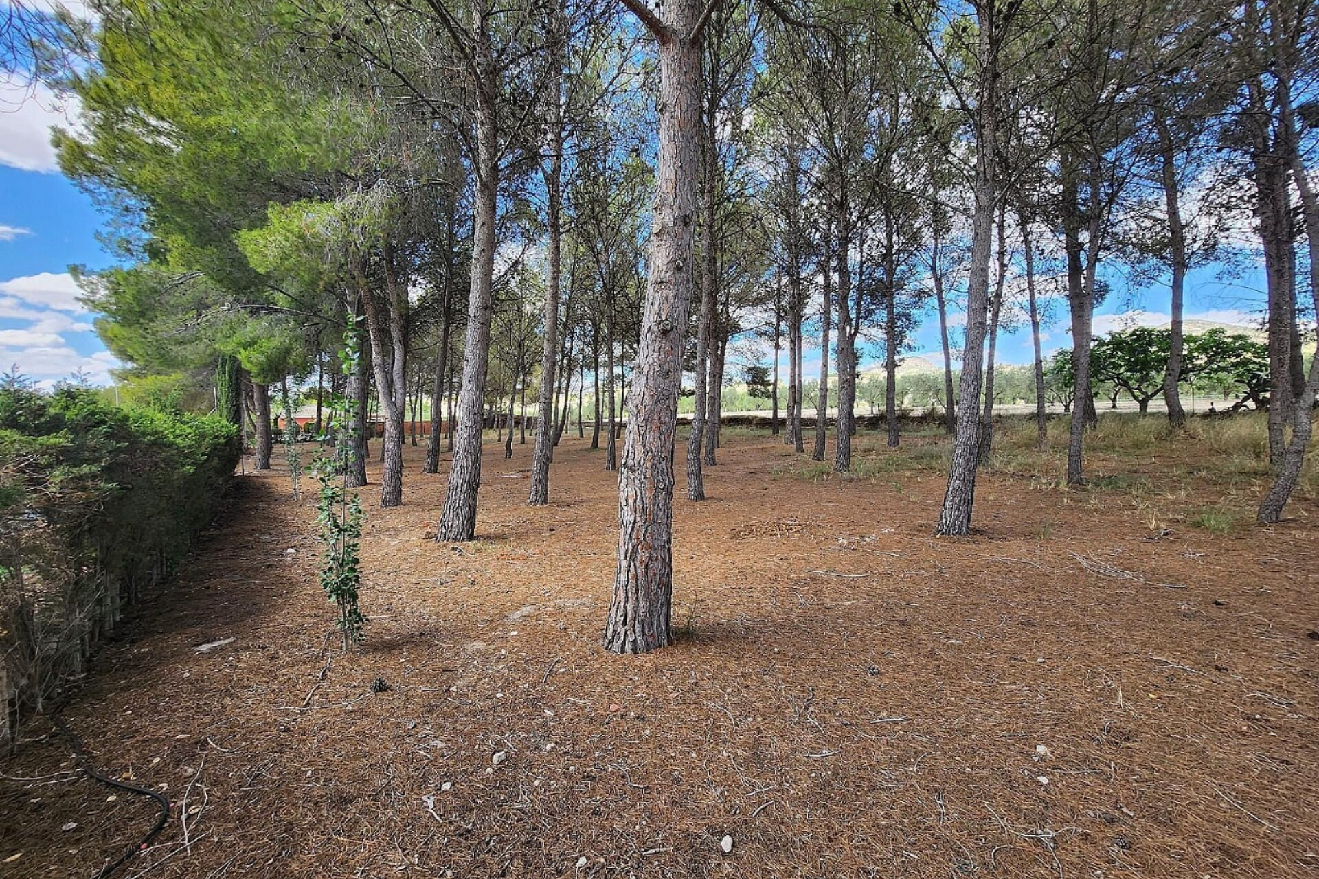 Reventa - Villa - Sax