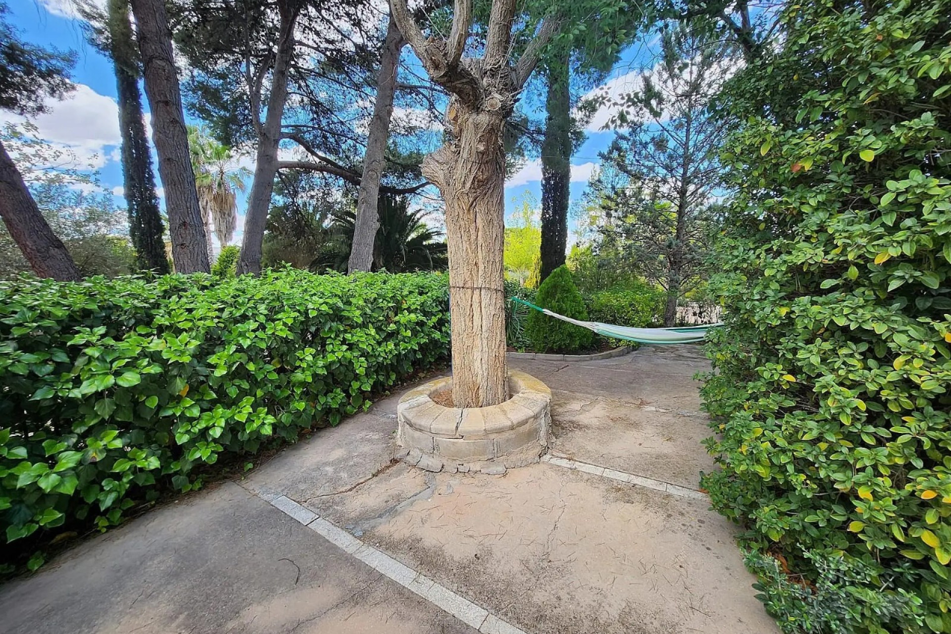 Reventa - Villa - Sax