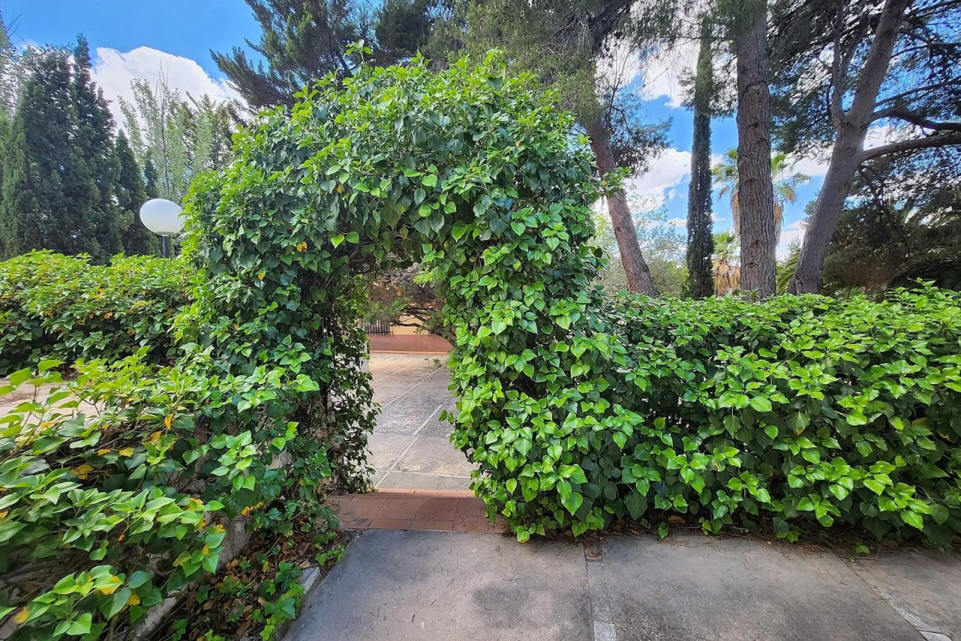 Reventa - Villa - Sax