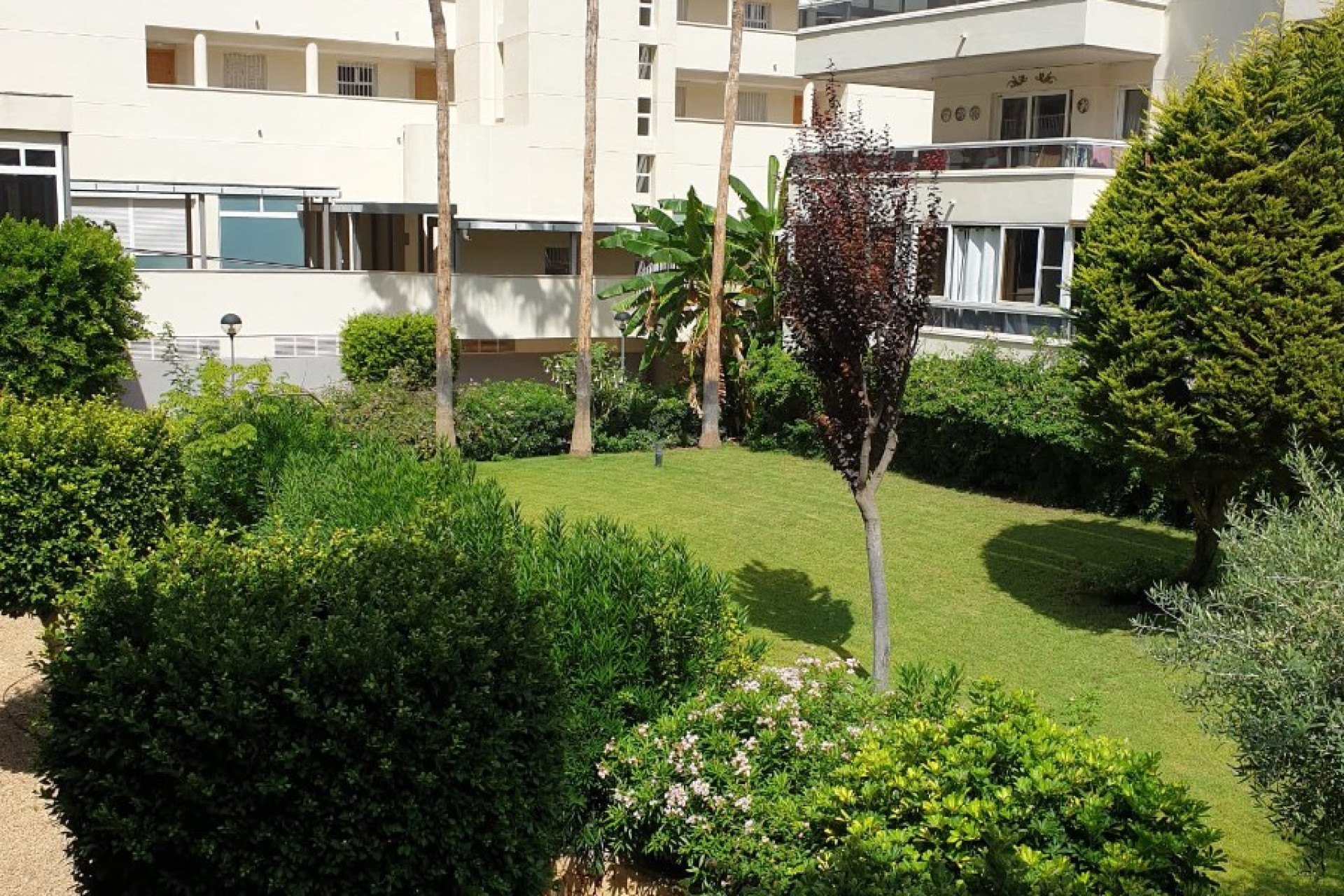 Revente - Appartement - Albir