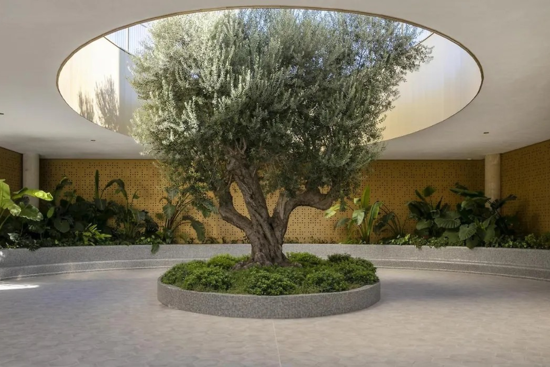 Revente - Appartement - Benidorm - Zona de Poniente