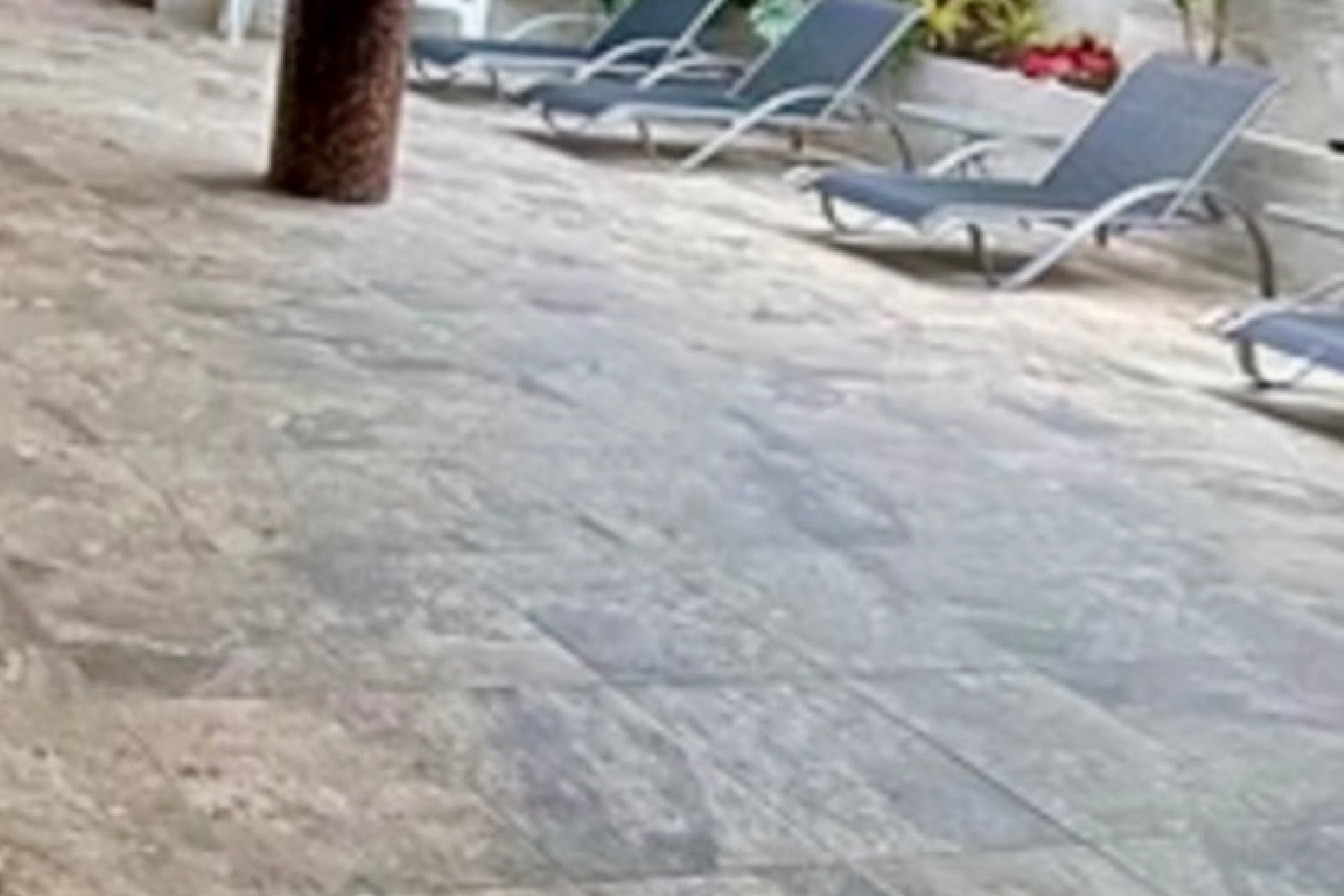 Revente - Appartement - Guardamar del Segura - Guardamar - El Raso