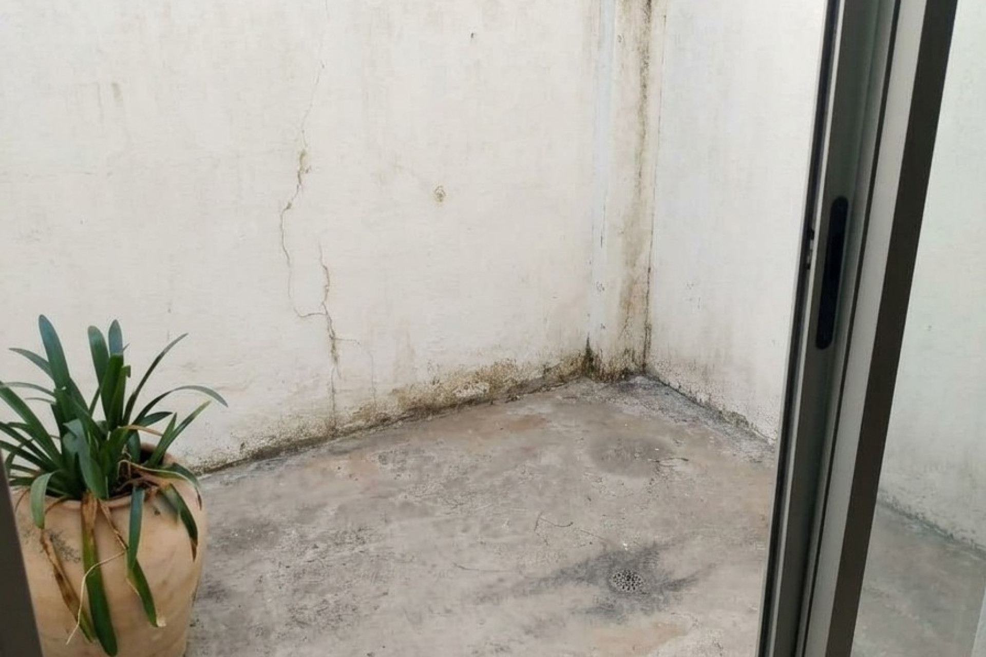 Revente - Appartement - Llauri