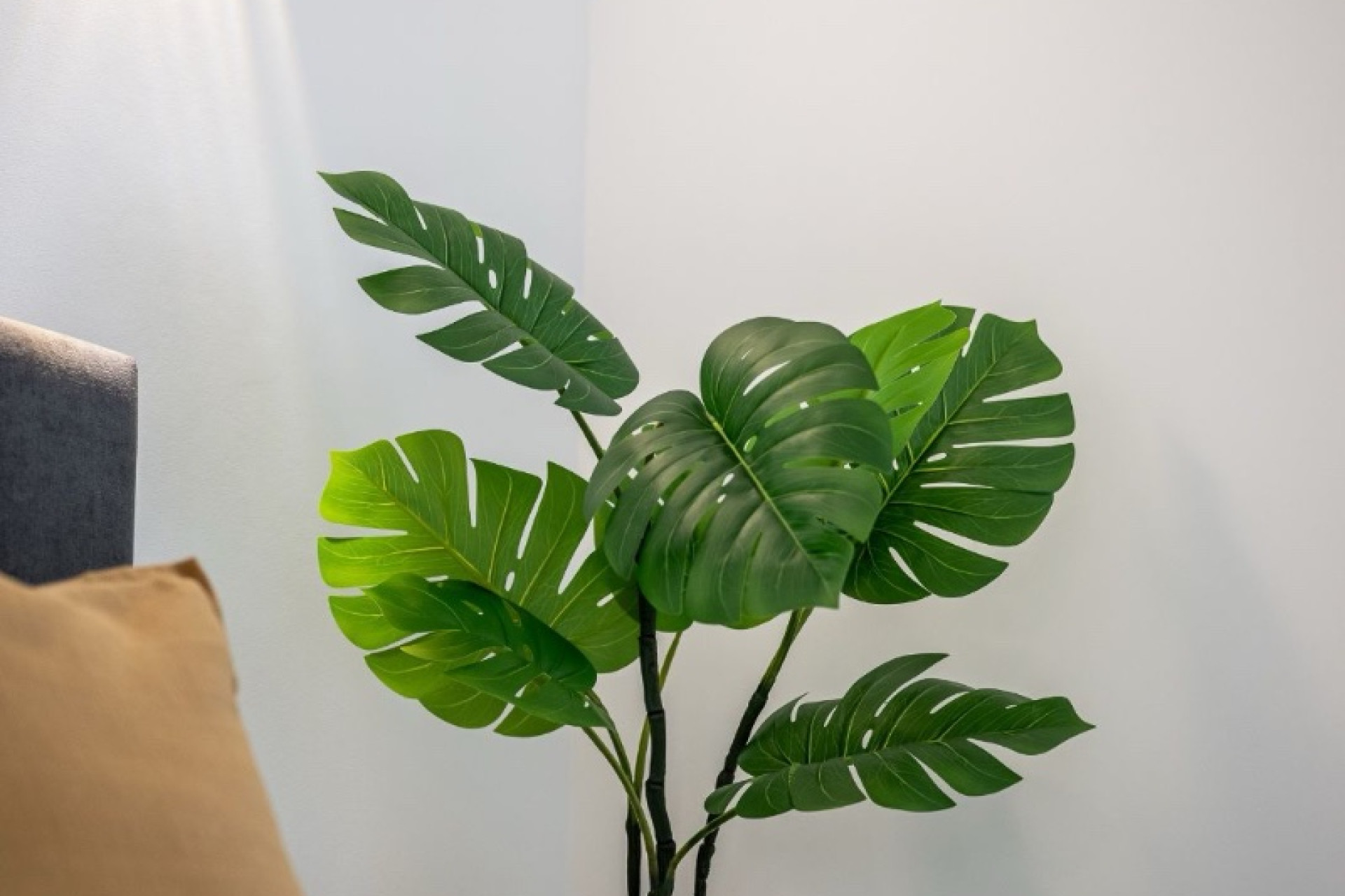 Revente - Appartement - Orihuela Costa - Punta Prima