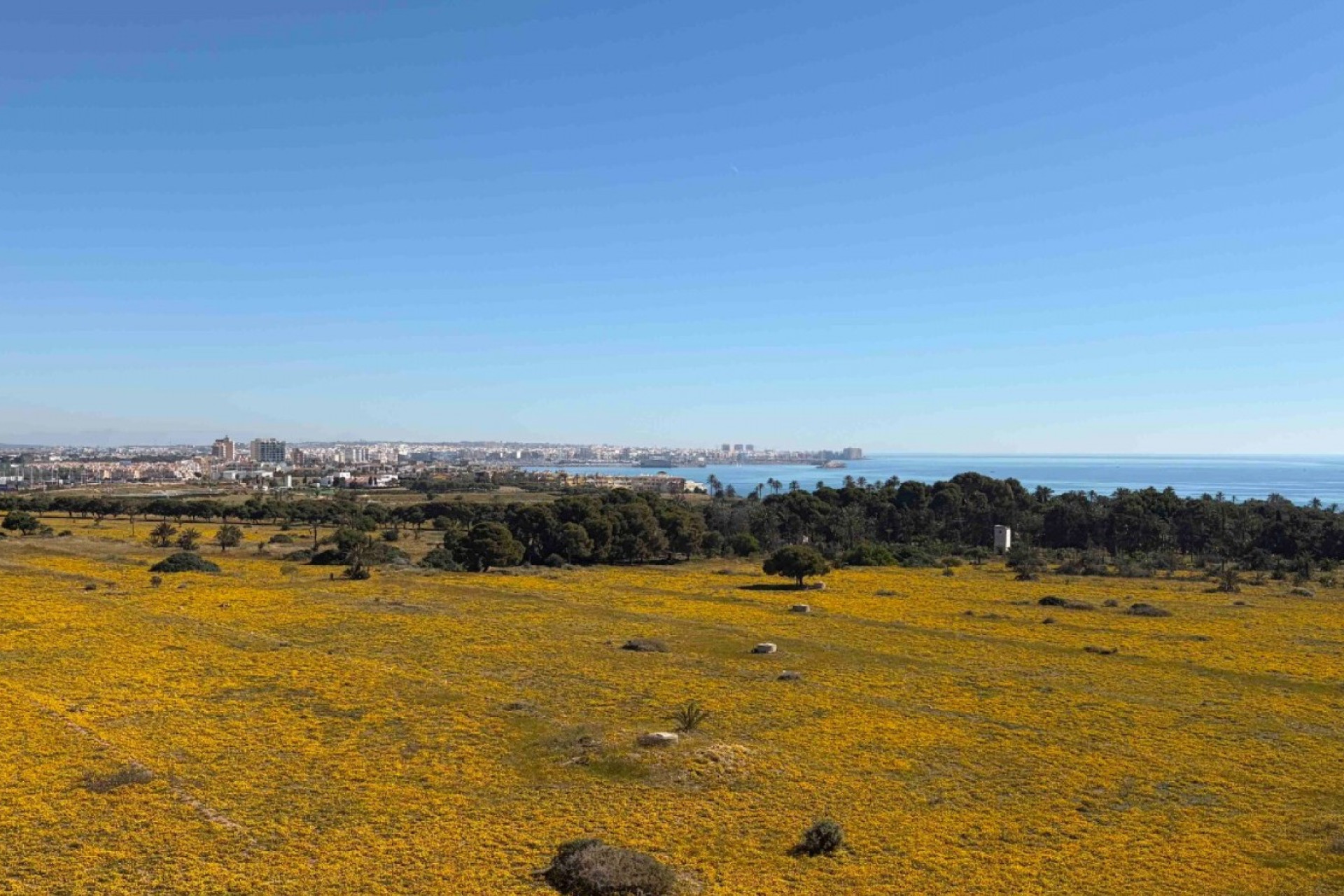 Revente - Appartement - Orihuela Costa - Punta Prima