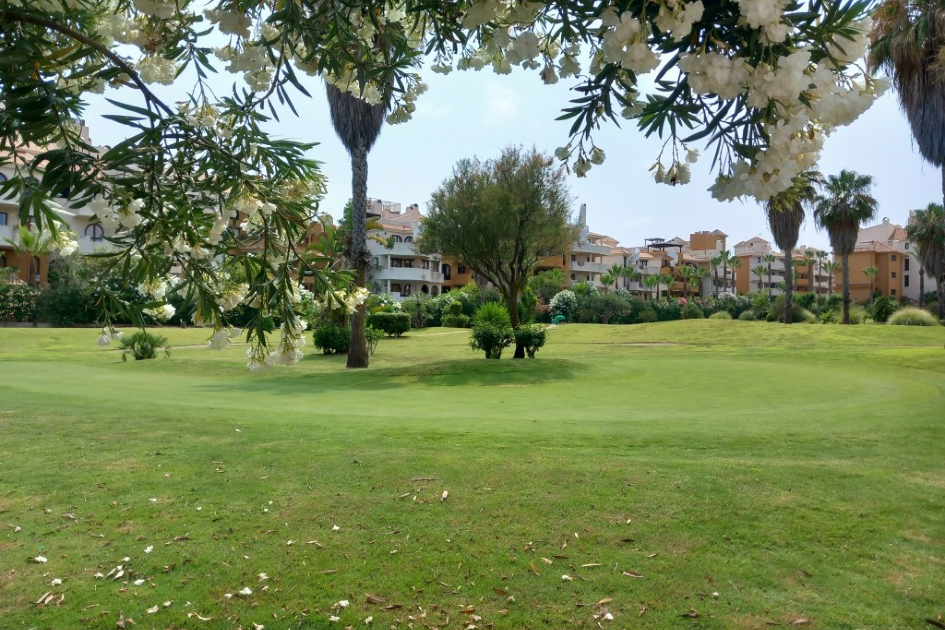 Revente - Appartement - Punta Prima