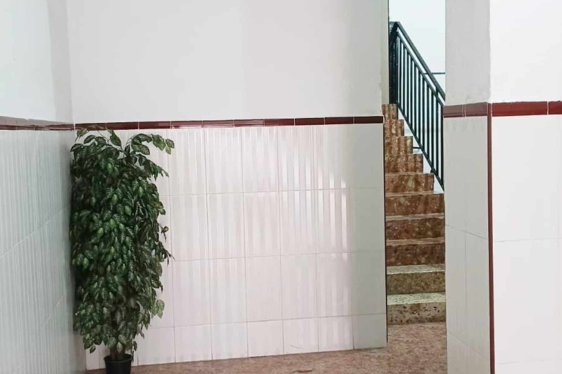 Revente - Appartement - Torrevieja - Centro