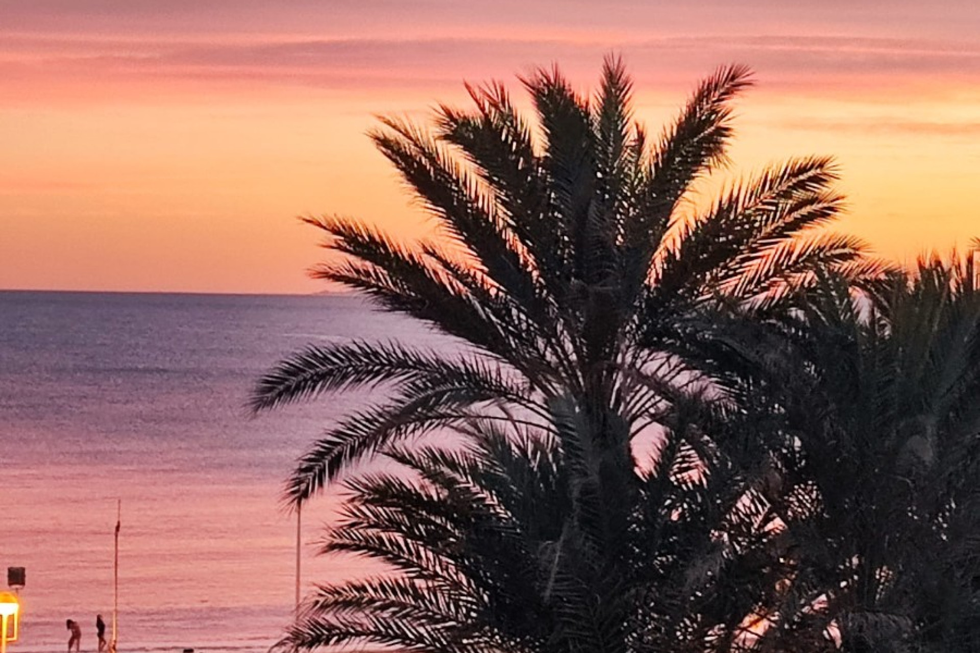 Revente - Appartement - Torrevieja - torrevieja