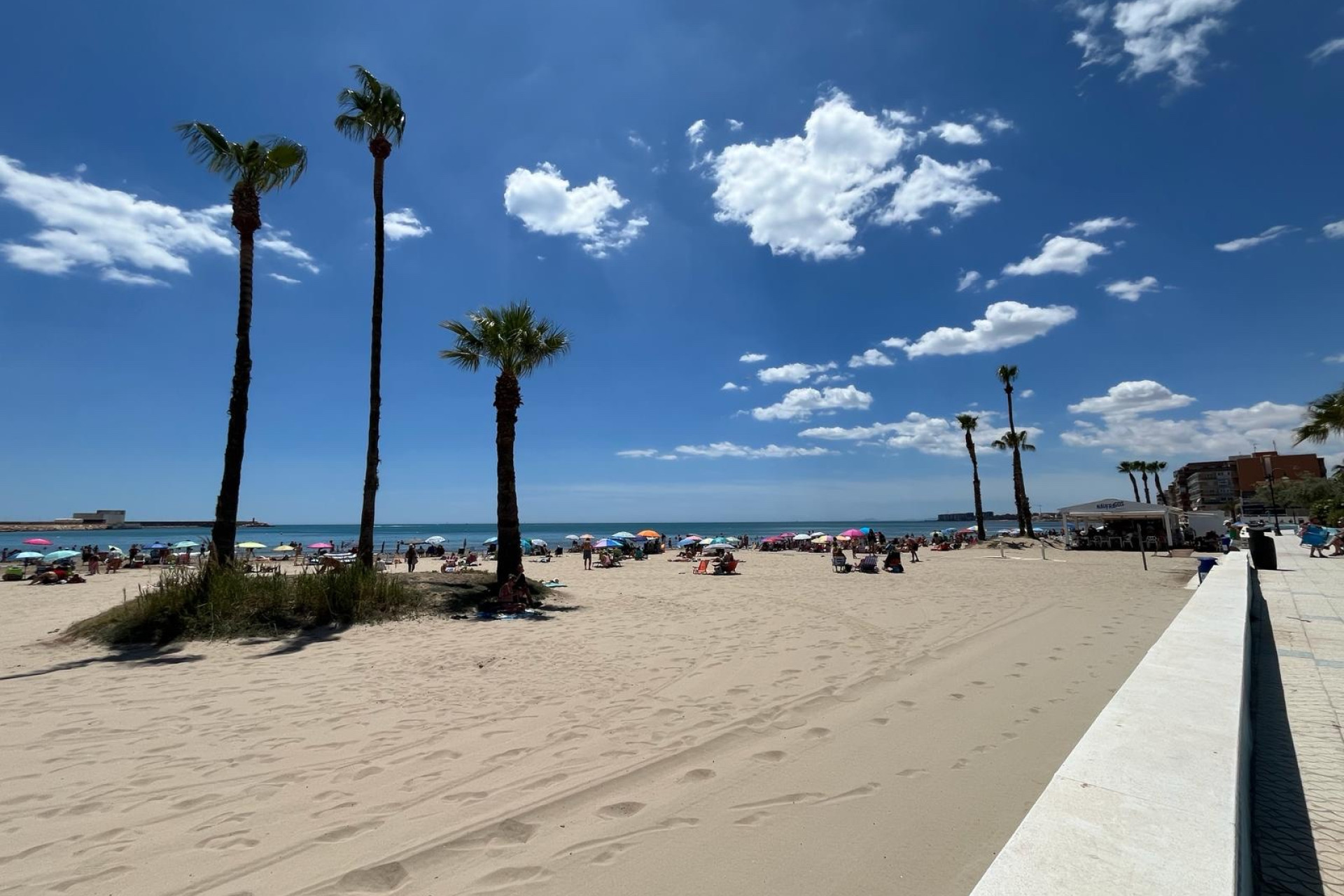 Revente - Appartement - Torrevieja - torrevieja