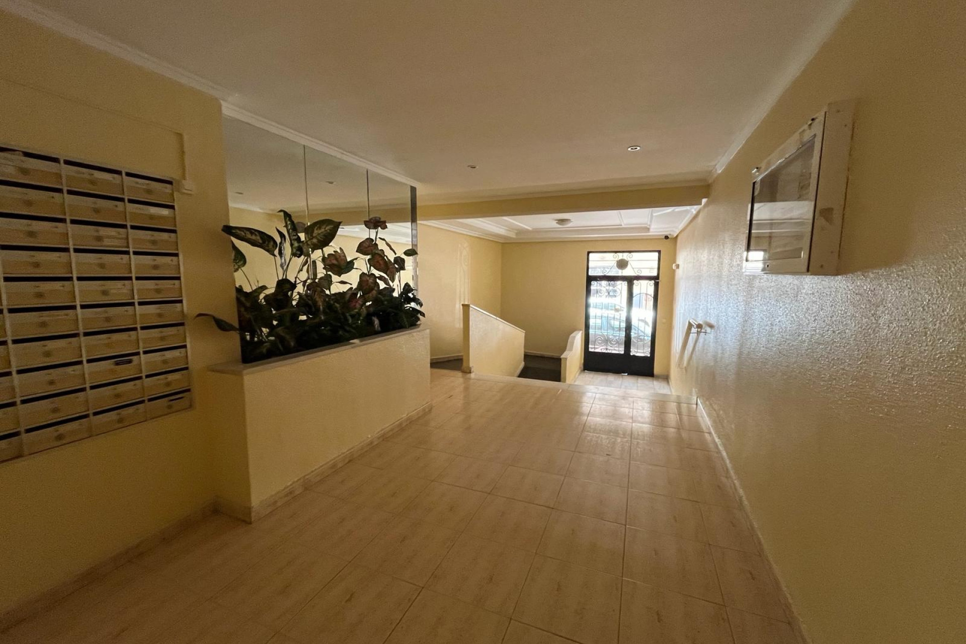 Revente - Appartement - Torrevieja - torrevieja