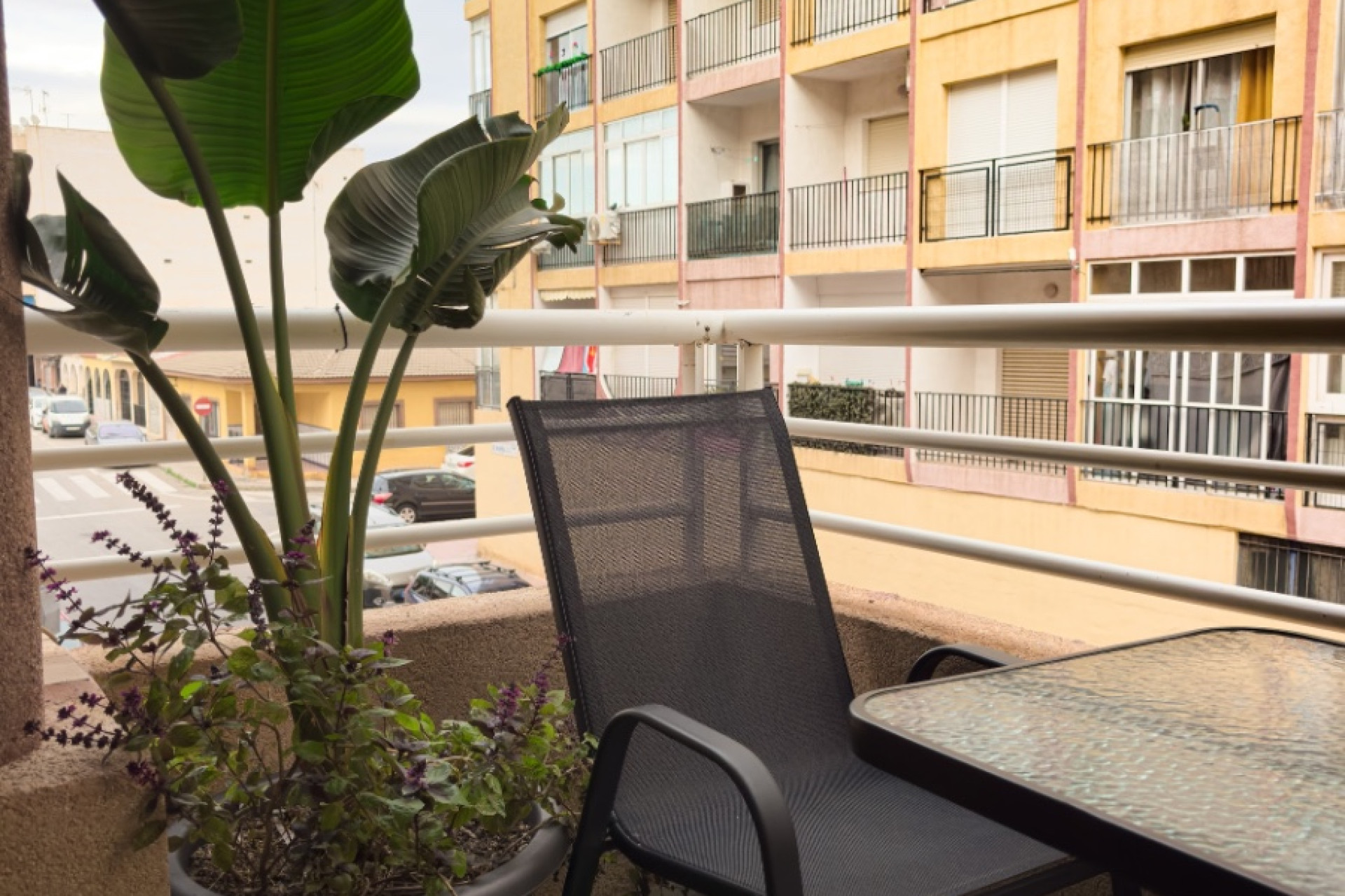 Revente - Appartement - Torrevieja - torrevieja