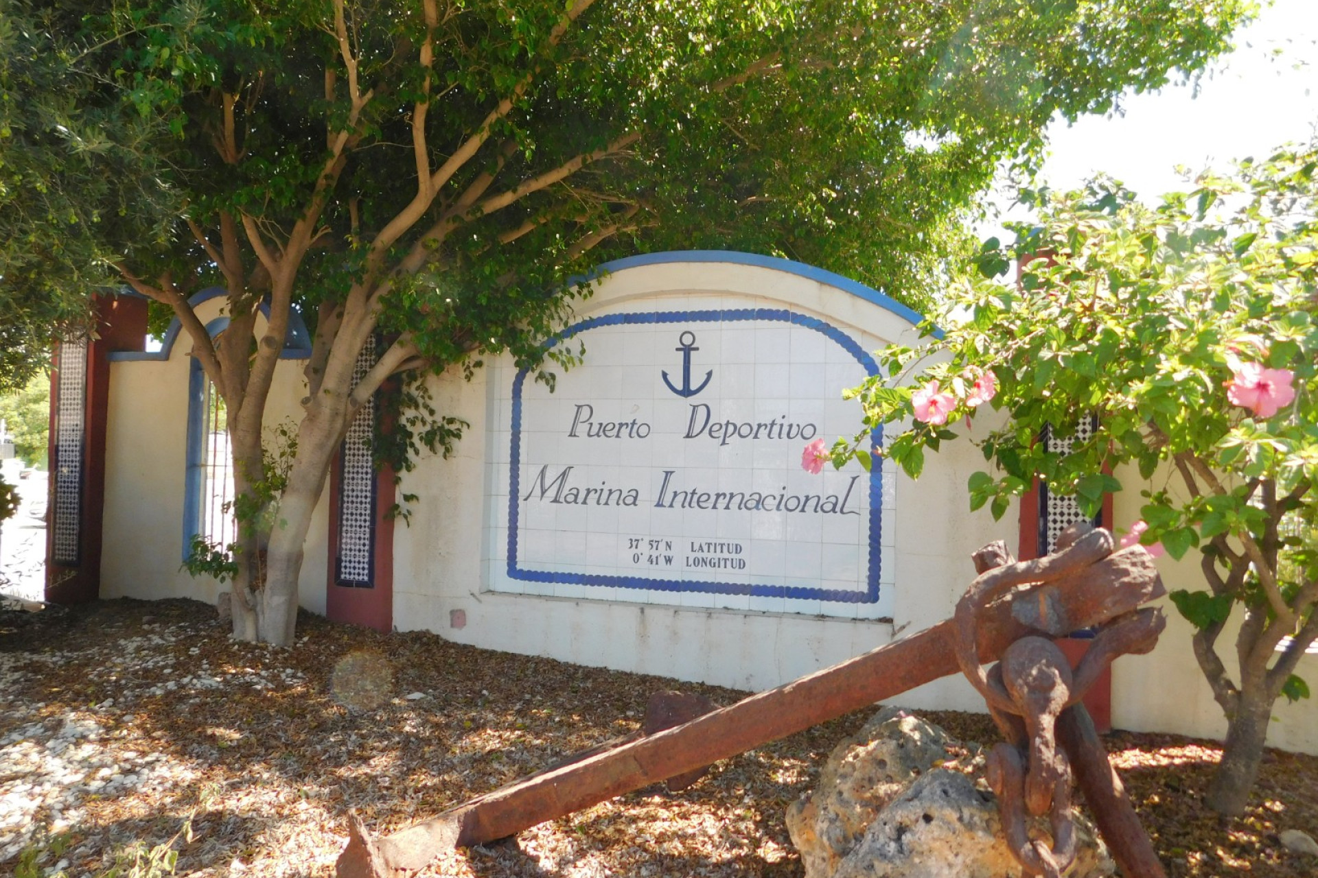 Revente - Appartement - Torrevieja - torrevieja