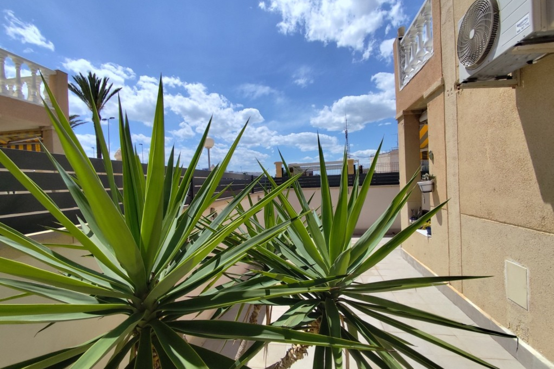 Revente - Appartement - Torrevieja - torrevieja