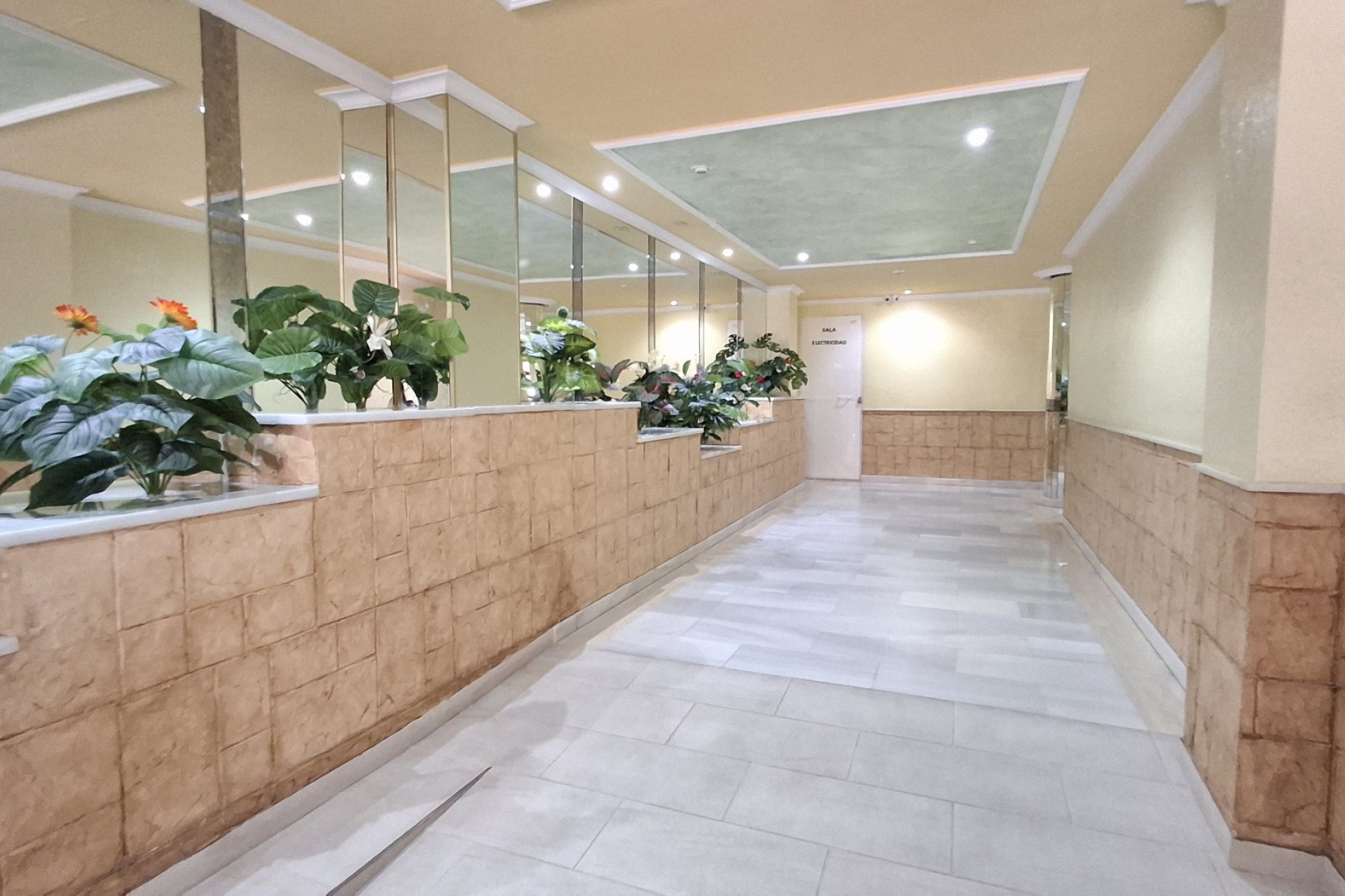Revente - Appartement - Torrevieja - torrevieja
