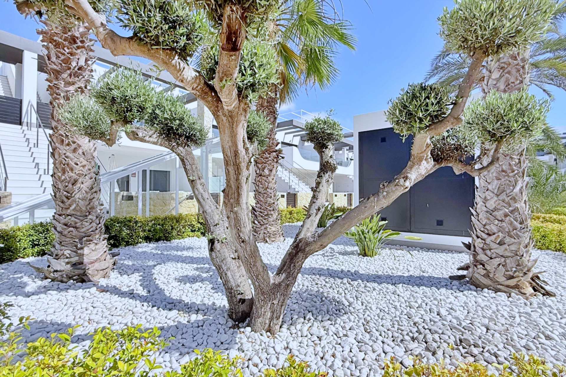 Revente - Attique - Orihuela Costa - Punta Prima