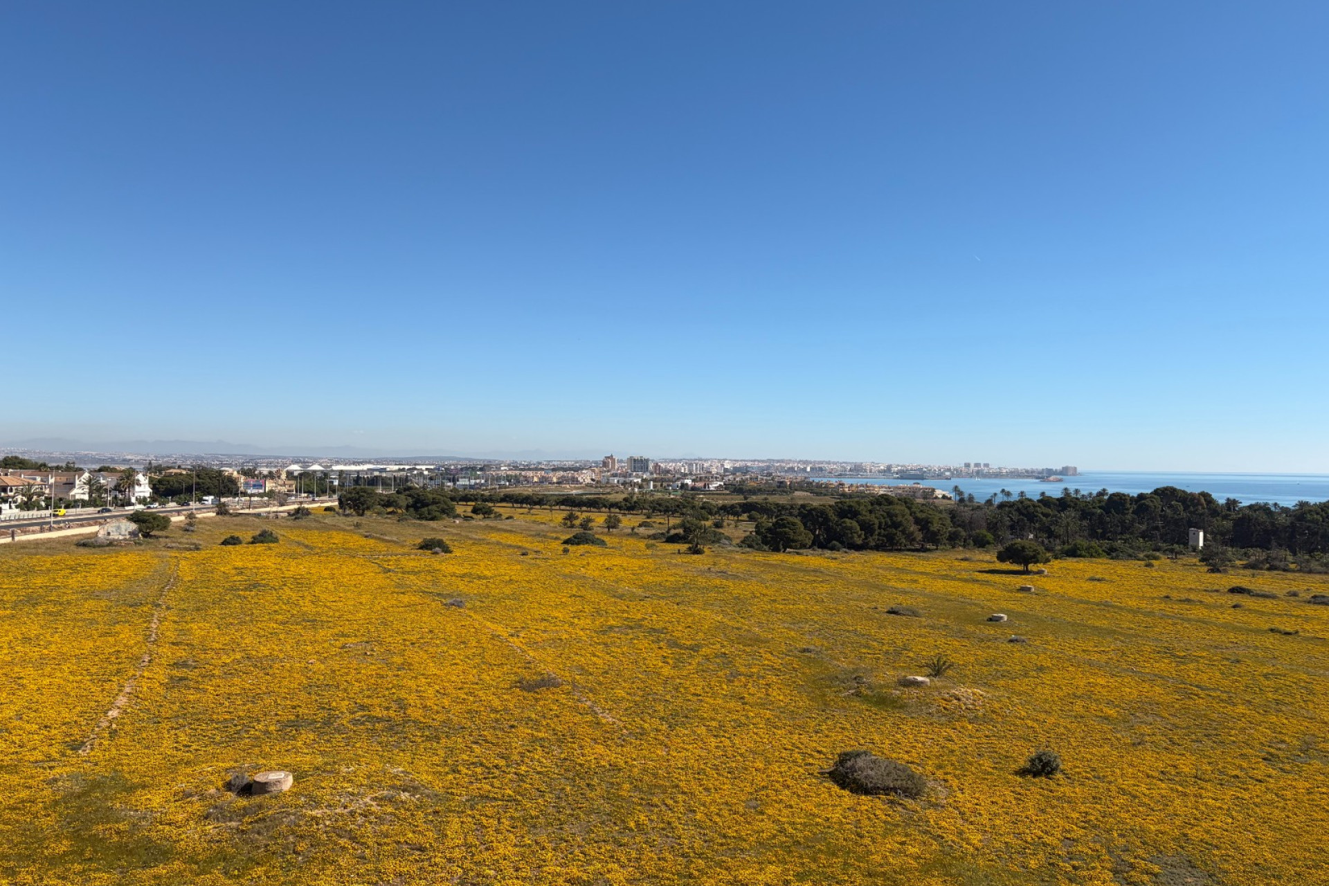 Revente - Attique - Torrevieja - Punta Prima