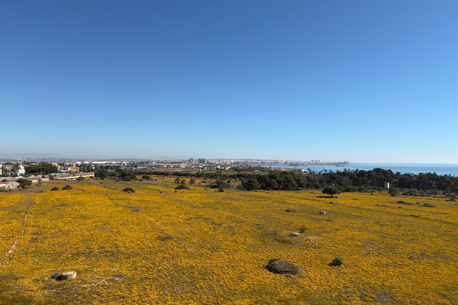 Revente - Attique - Torrevieja - Punta Prima