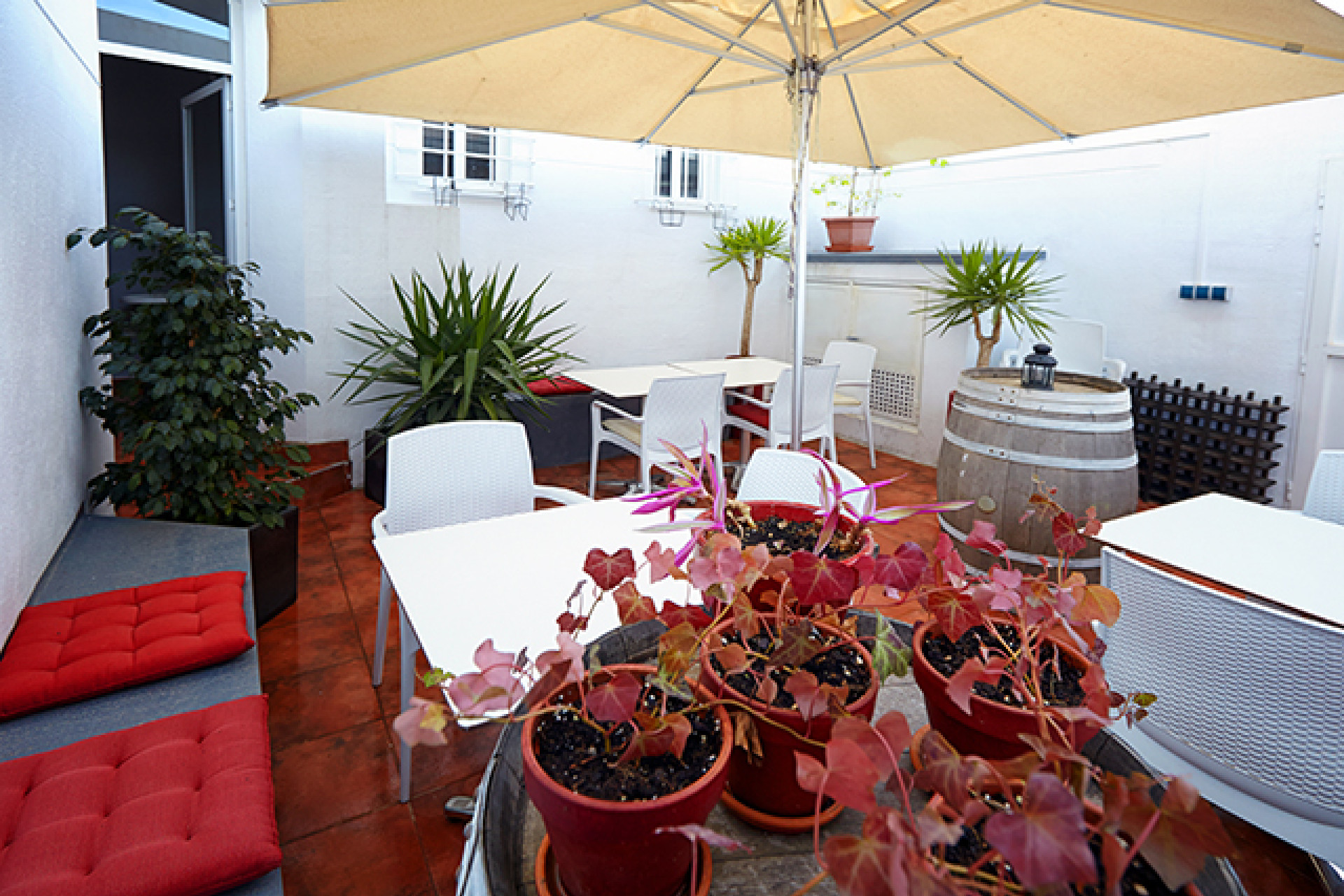 Revente - Commercial - Benijofar