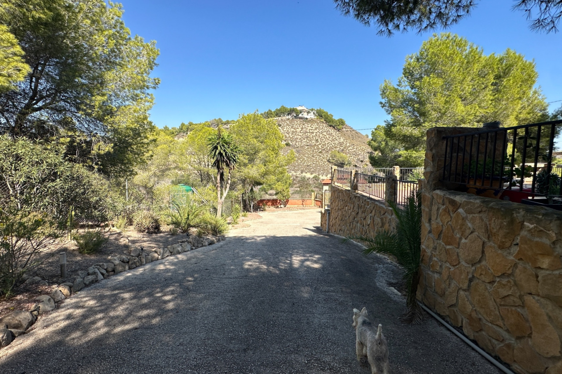 Revente - Finca / Country House - San Miguel de Salinas - Costa Blanca Sur