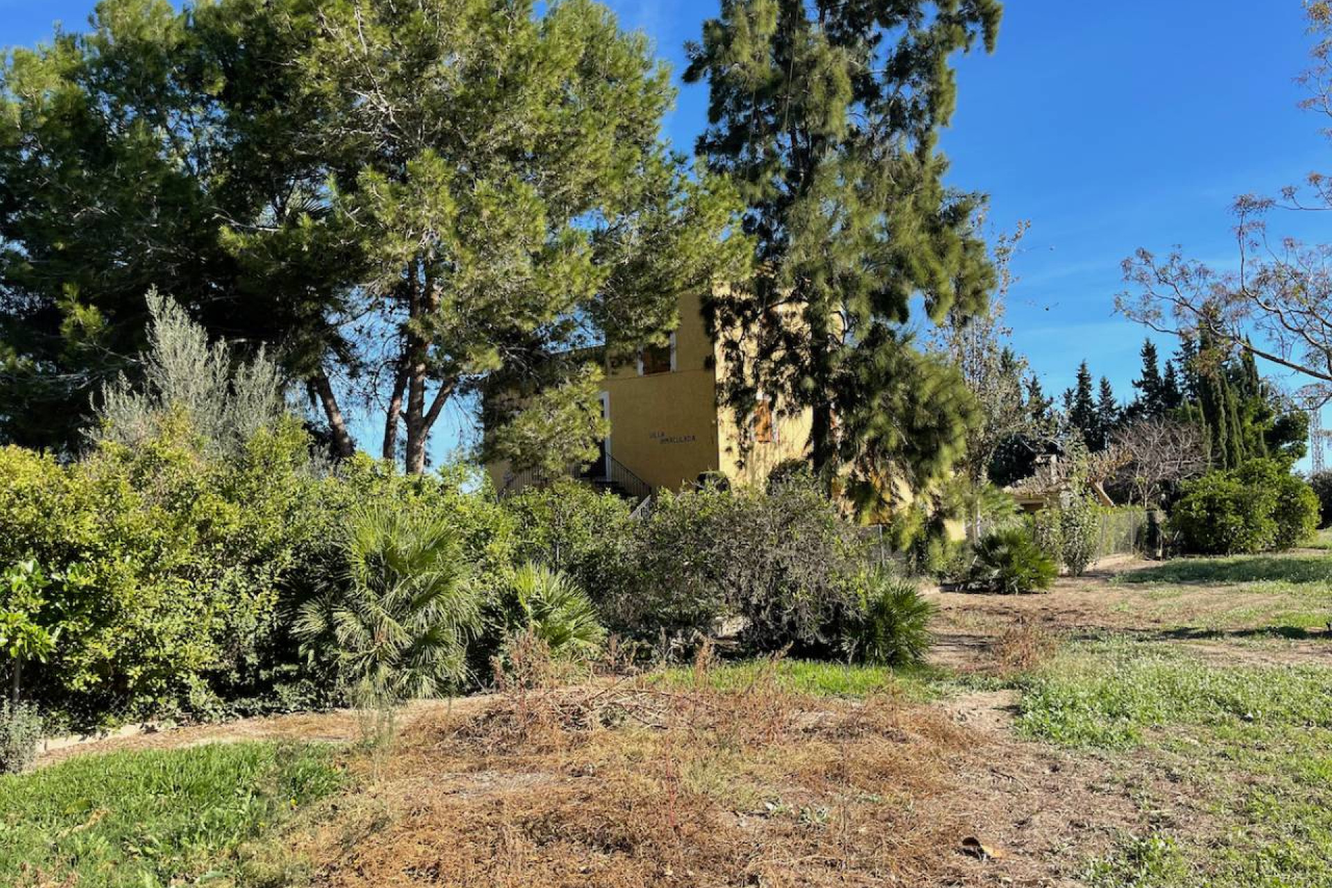 Revente - Finca / Country Property - Daya Vieja