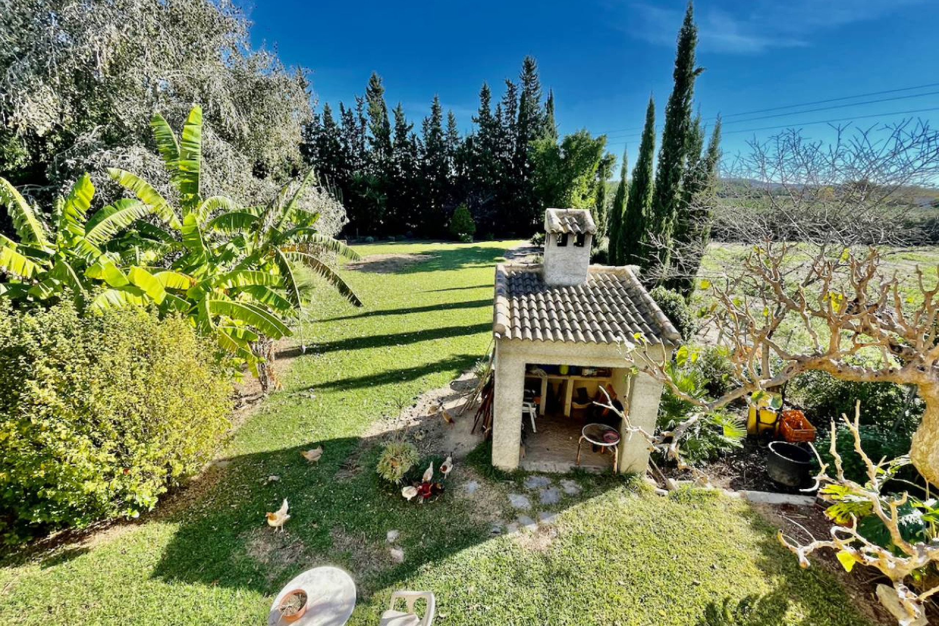 Revente - Finca / Country Property - Daya Vieja