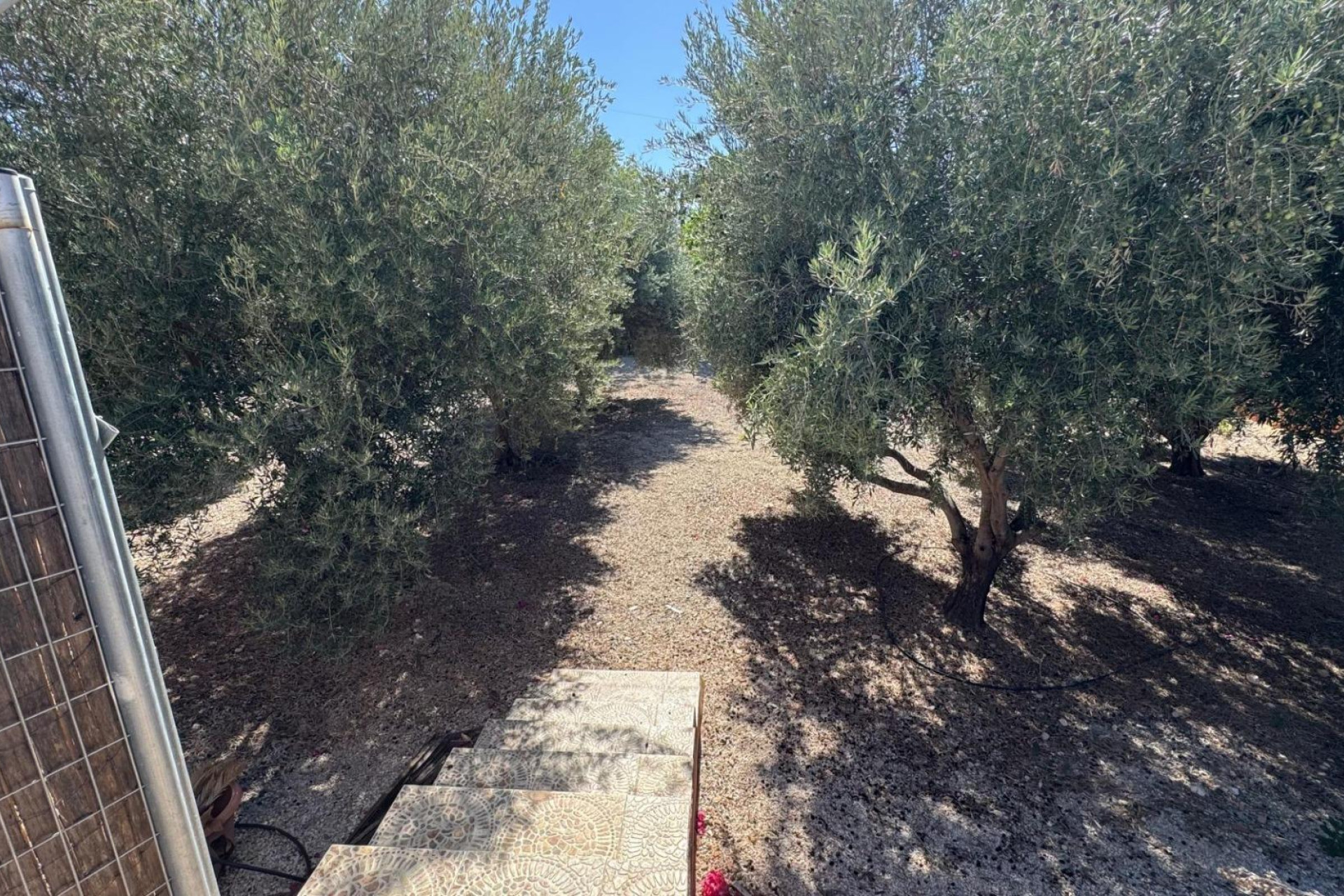 Revente - Finca / Propriété rurale - Albatera - BARRANCO SAN CAYETANO