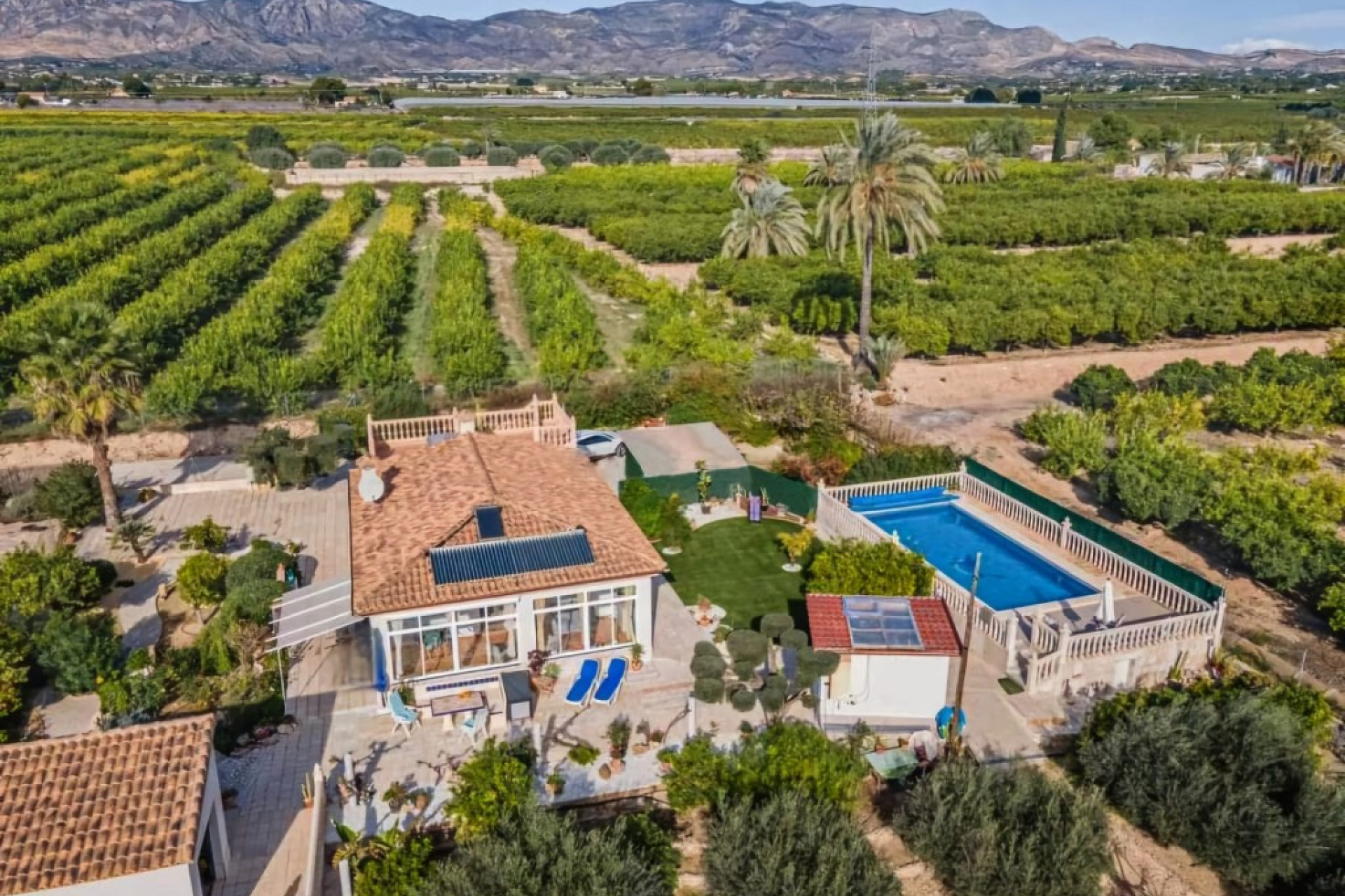 Revente - Finca / Propriété rurale - Albatera