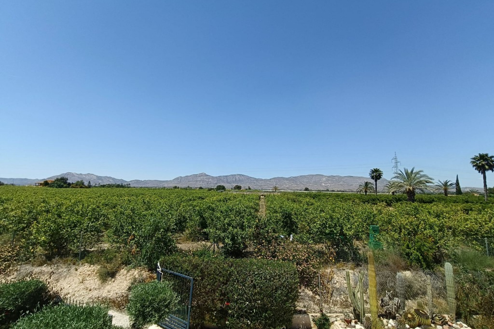 Revente - Finca / Propriété rurale - Albatera