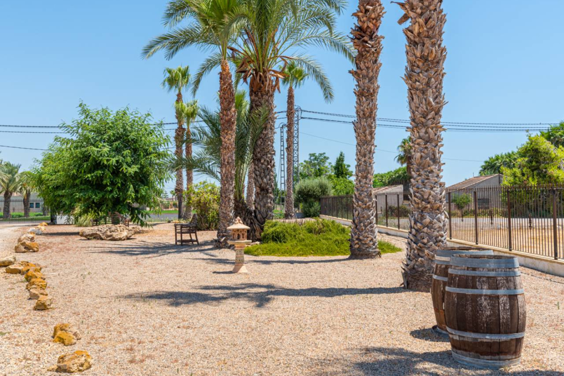 Revente - Finca / Propriété rurale - Catral