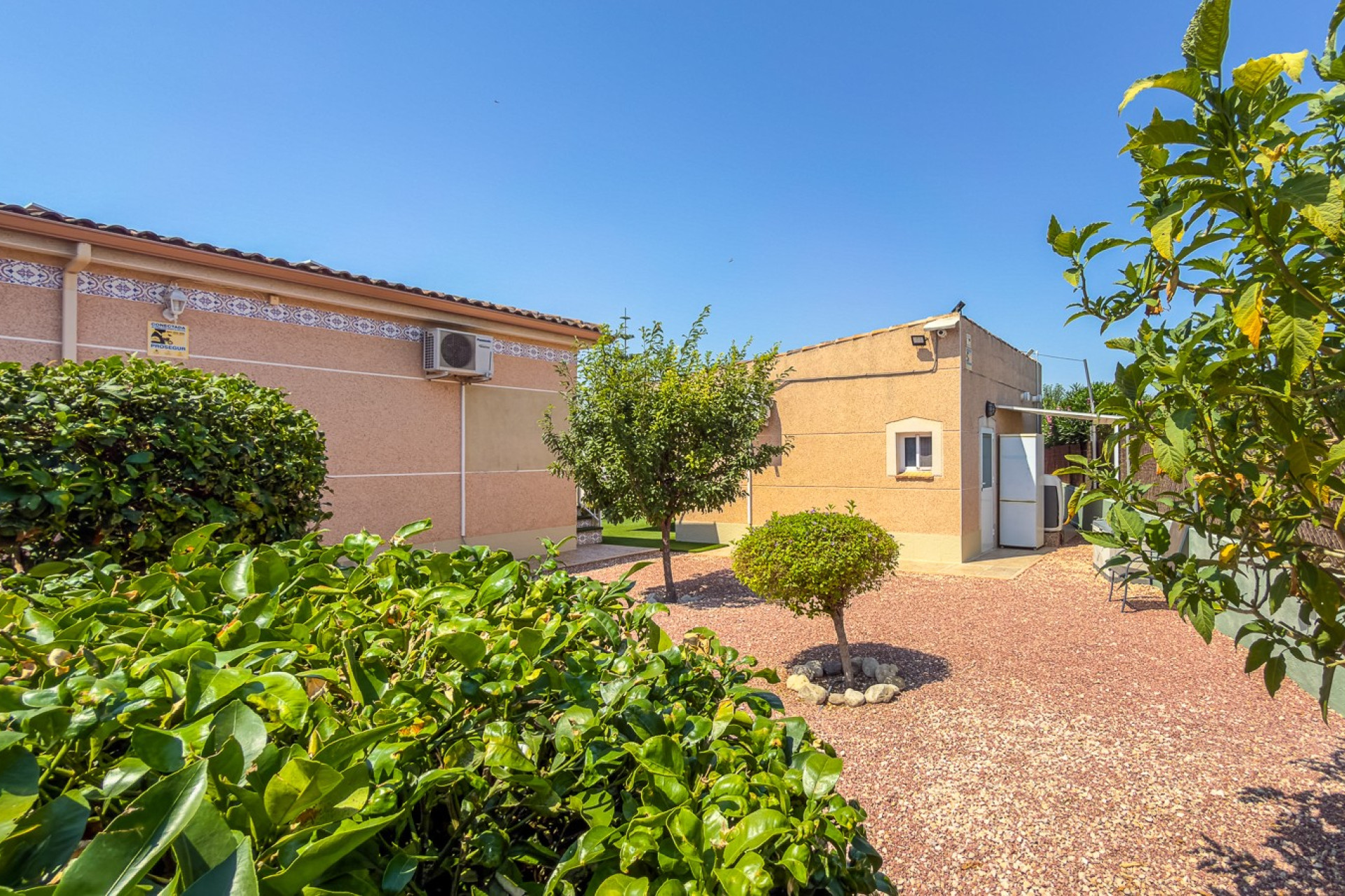 Revente - Finca / Propriété rurale - Catral