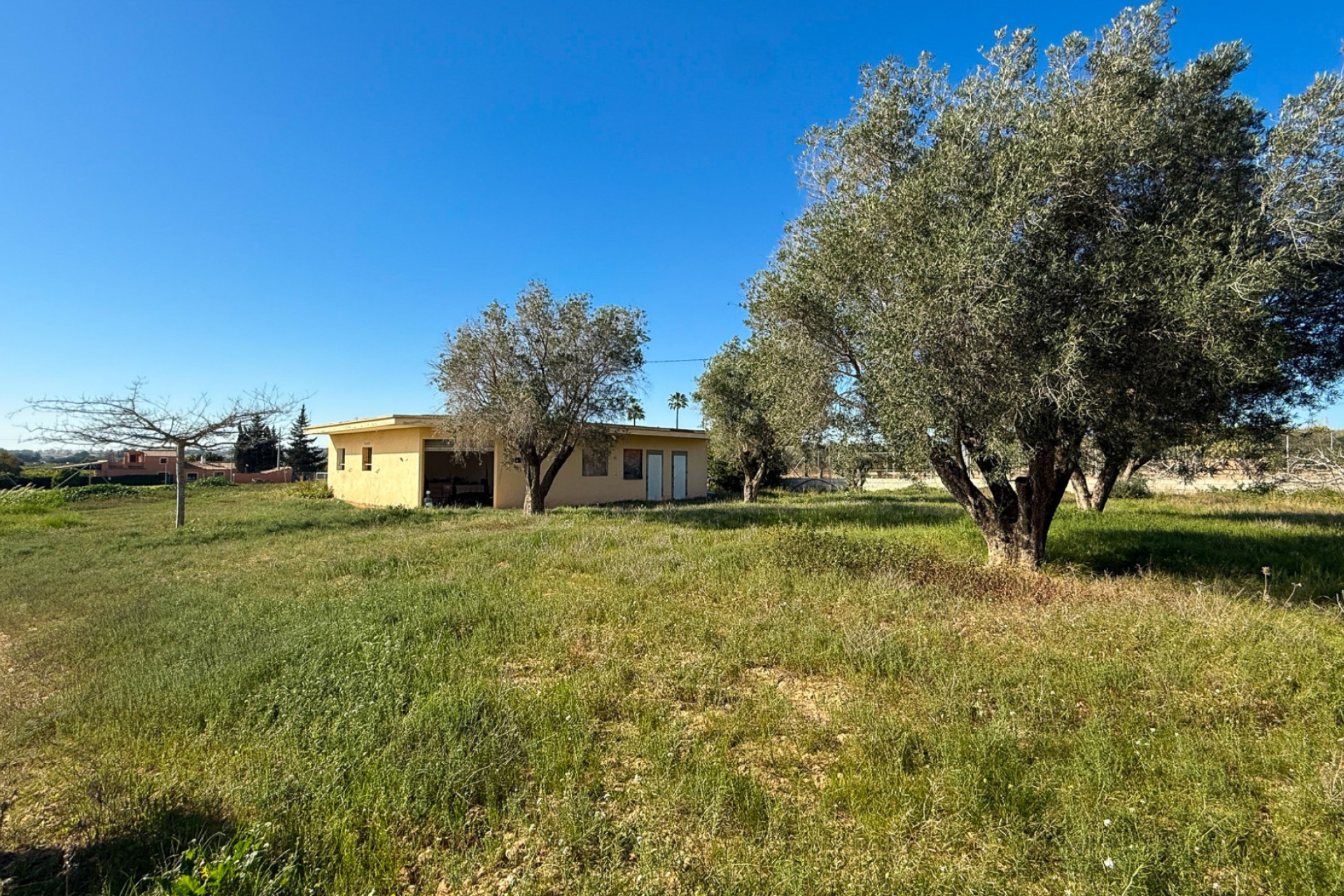 Revente - Finca / Propriété rurale - Guardamar del Segura - Guardamar