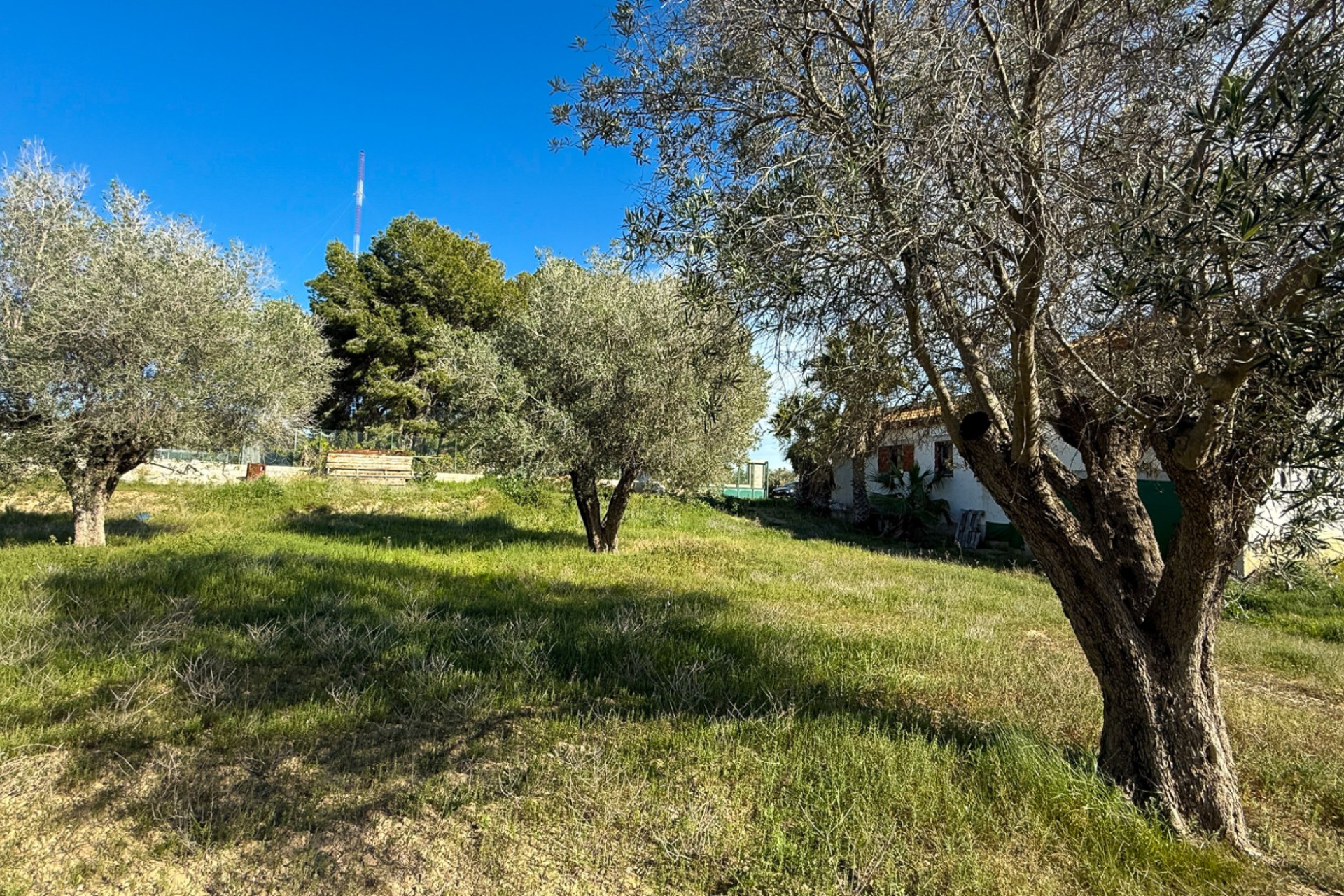 Revente - Finca / Propriété rurale - Guardamar del Segura - Guardamar
