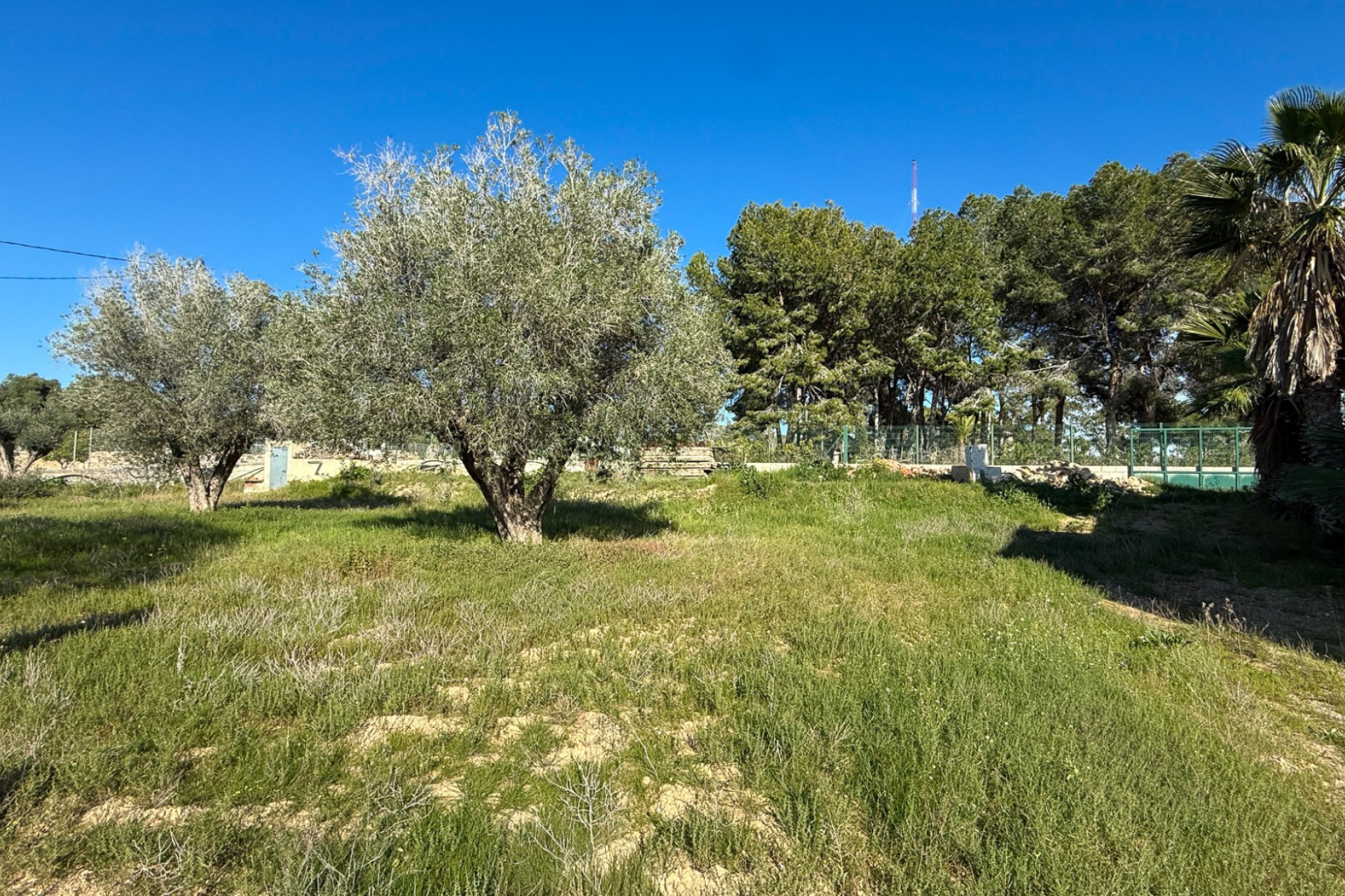 Revente - Finca / Propriété rurale - Guardamar del Segura - Guardamar