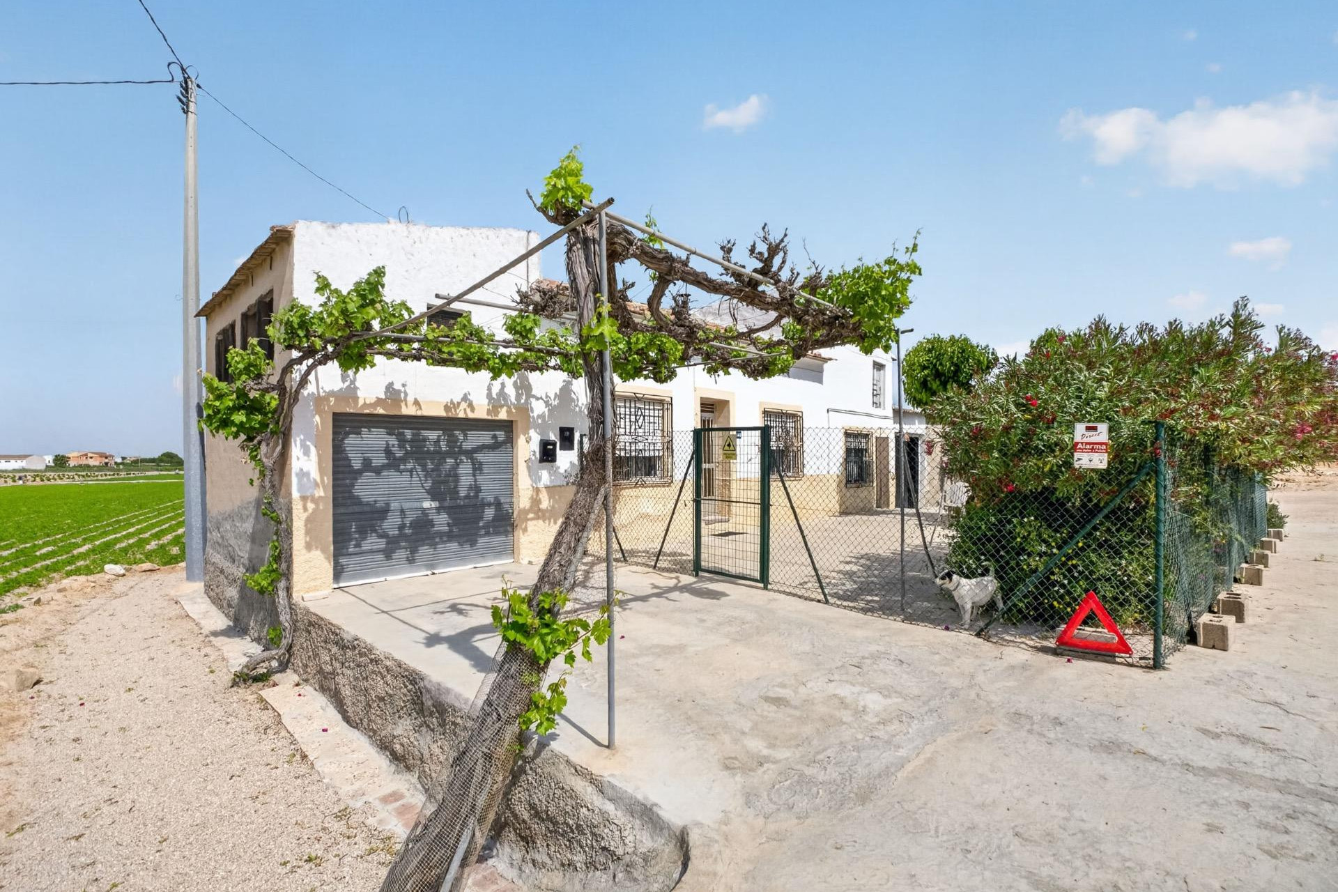 Revente - Finca / Propriété rurale - Orihuela - Desamparados-Hurchillo-Torremendo