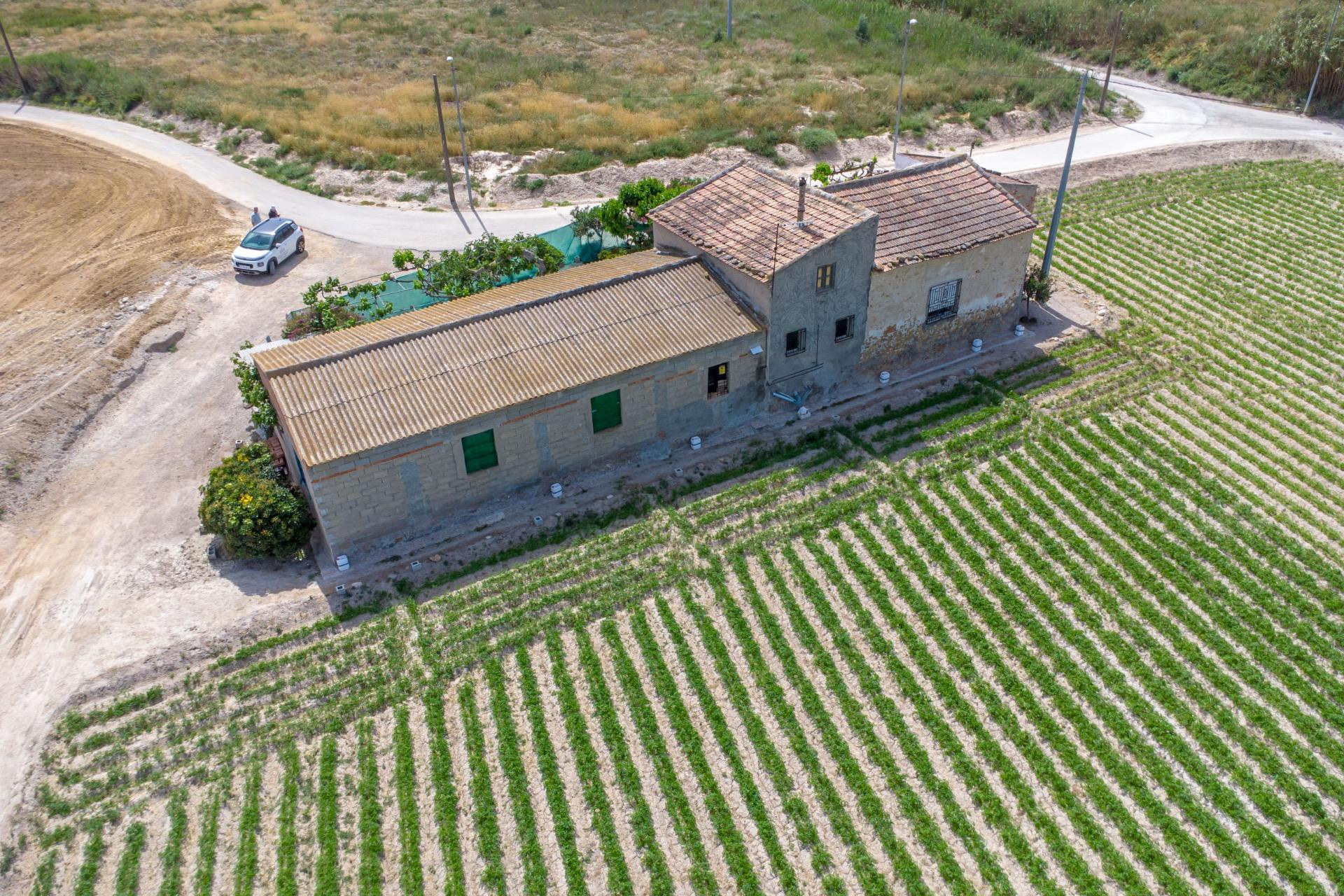 Revente - Finca / Propriété rurale - Orihuela - Desamparados-Hurchillo-Torremendo