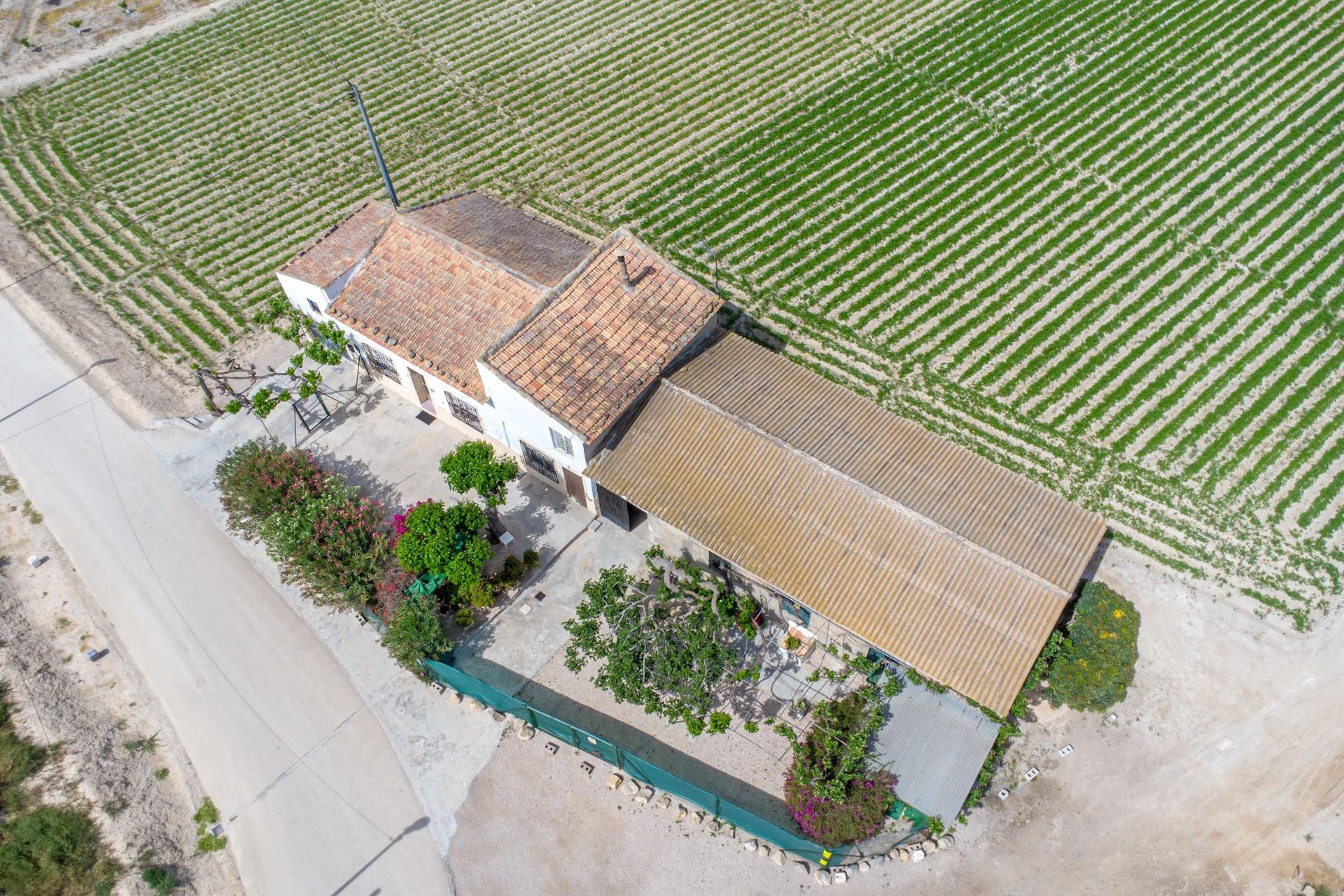Revente - Finca / Propriété rurale - Orihuela - Desamparados-Hurchillo-Torremendo