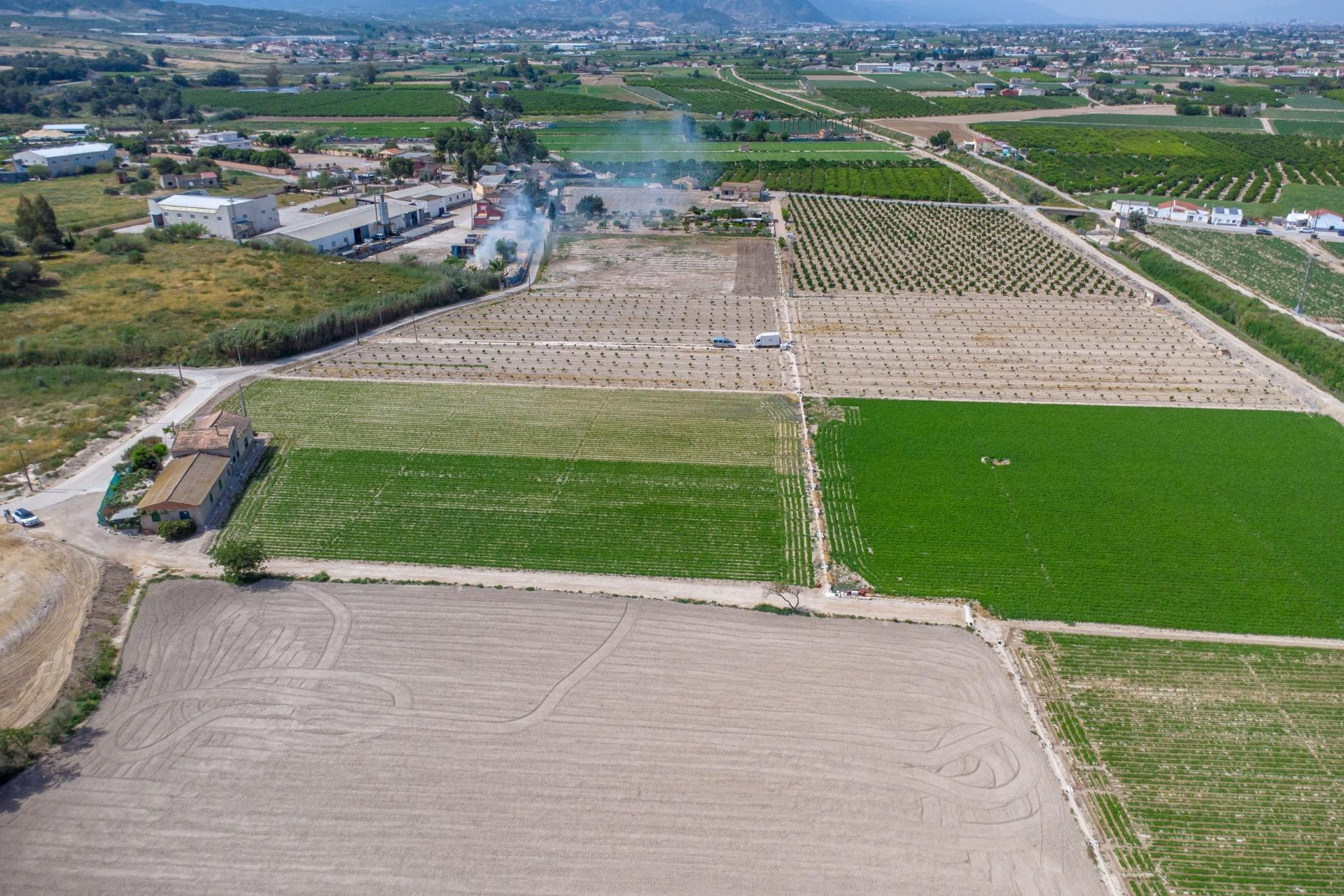 Revente - Finca / Propriété rurale - Orihuela - Desamparados-Hurchillo-Torremendo