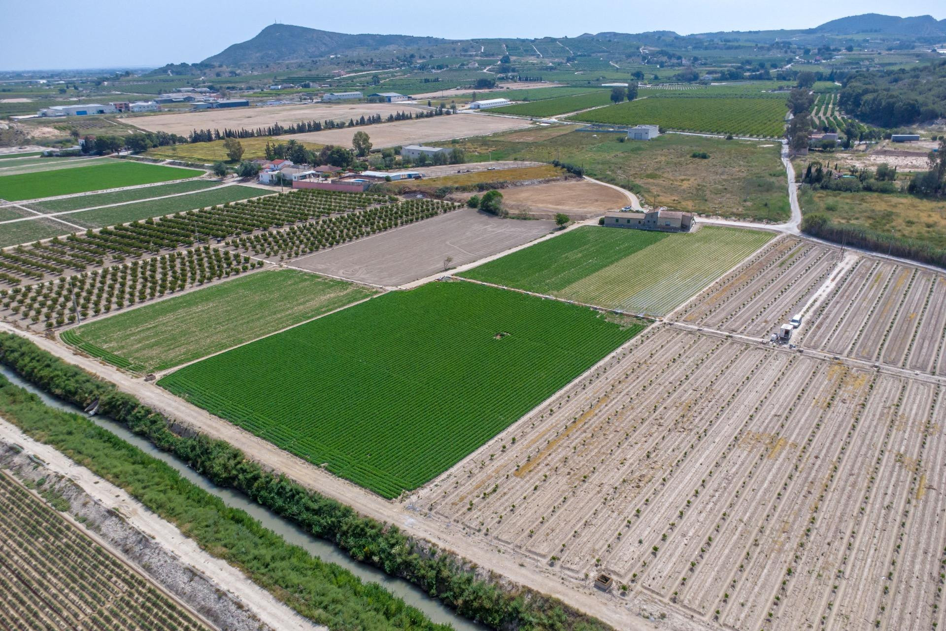 Revente - Finca / Propriété rurale - Orihuela - Desamparados-Hurchillo-Torremendo