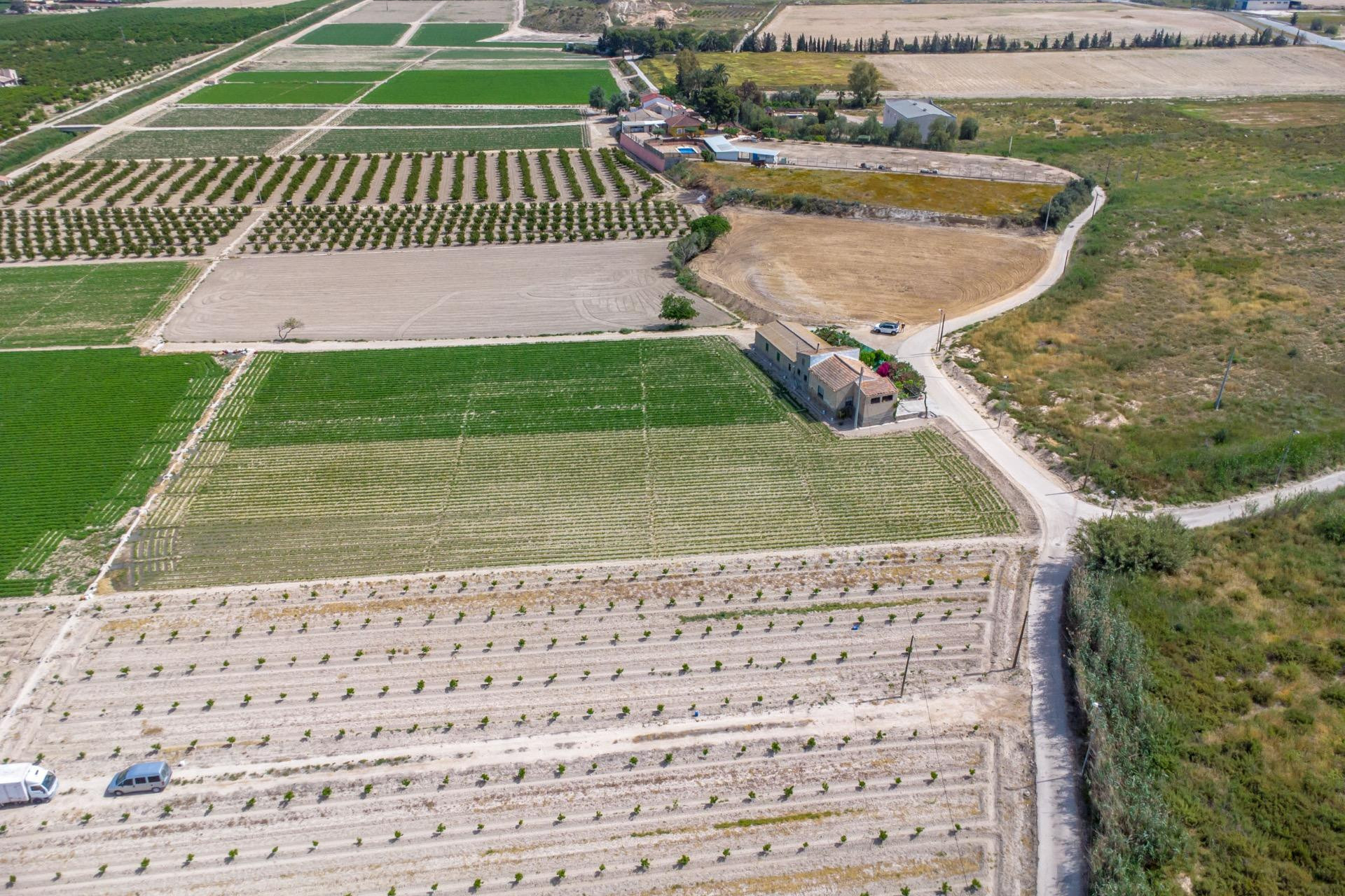 Revente - Finca / Propriété rurale - Orihuela - Desamparados-Hurchillo-Torremendo