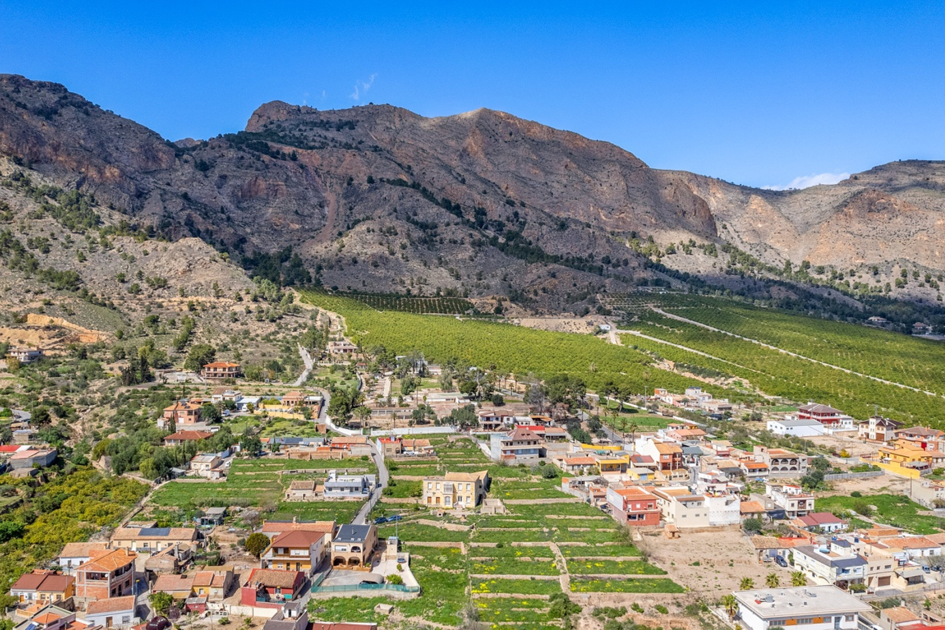 Revente - Finca / Propriété rurale - Orihuela