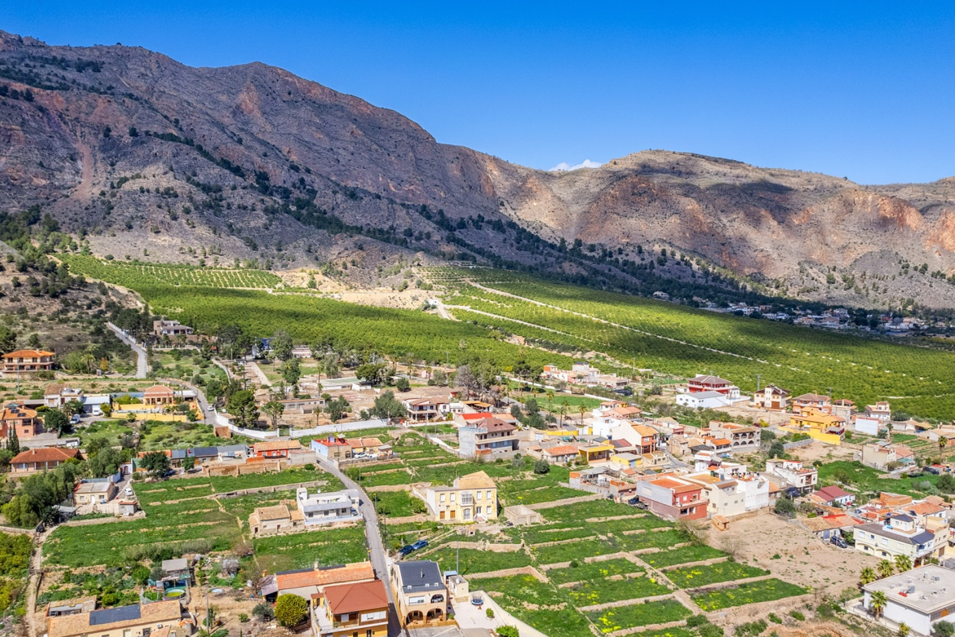 Revente - Finca / Propriété rurale - Orihuela