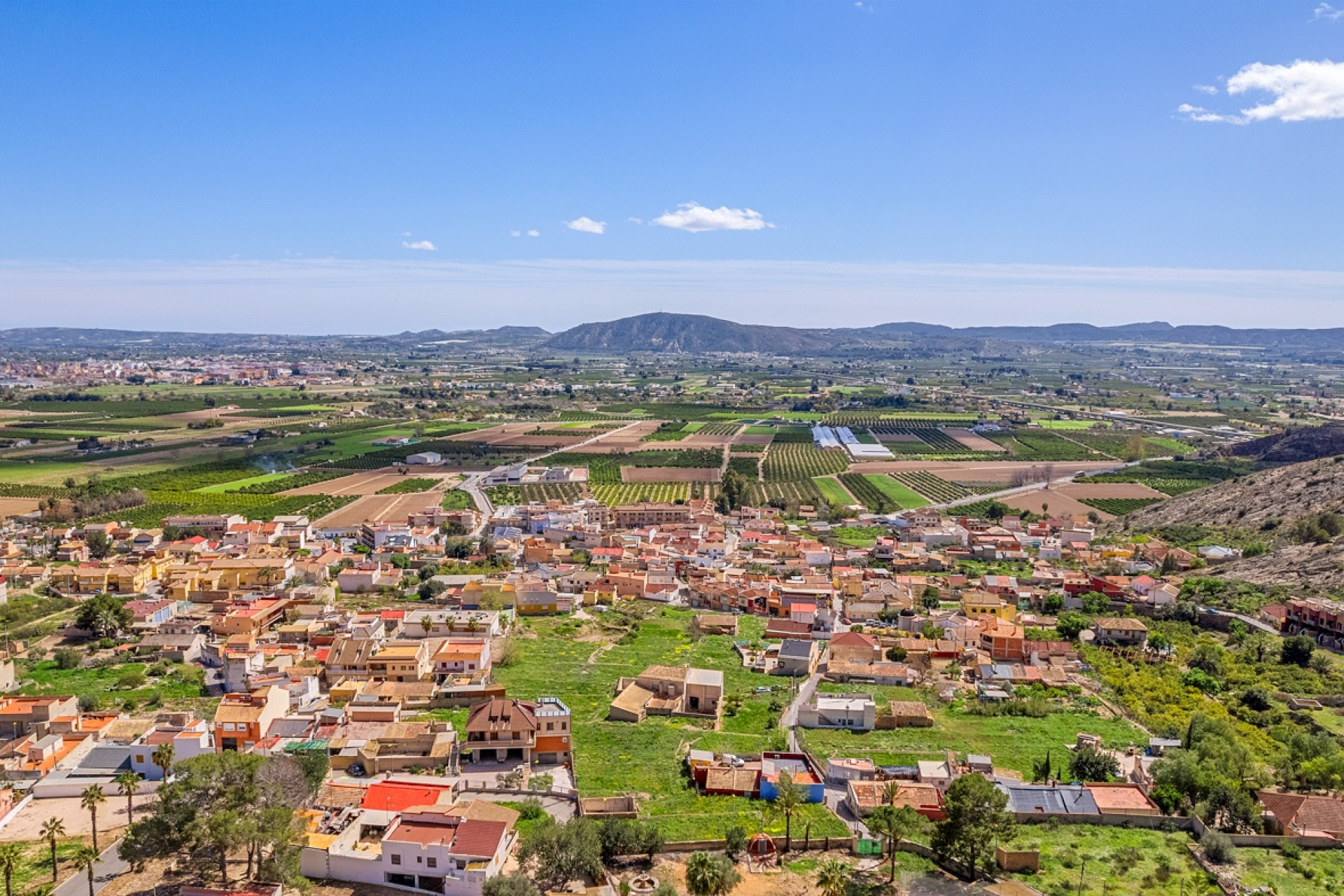 Revente - Finca / Propriété rurale - Orihuela