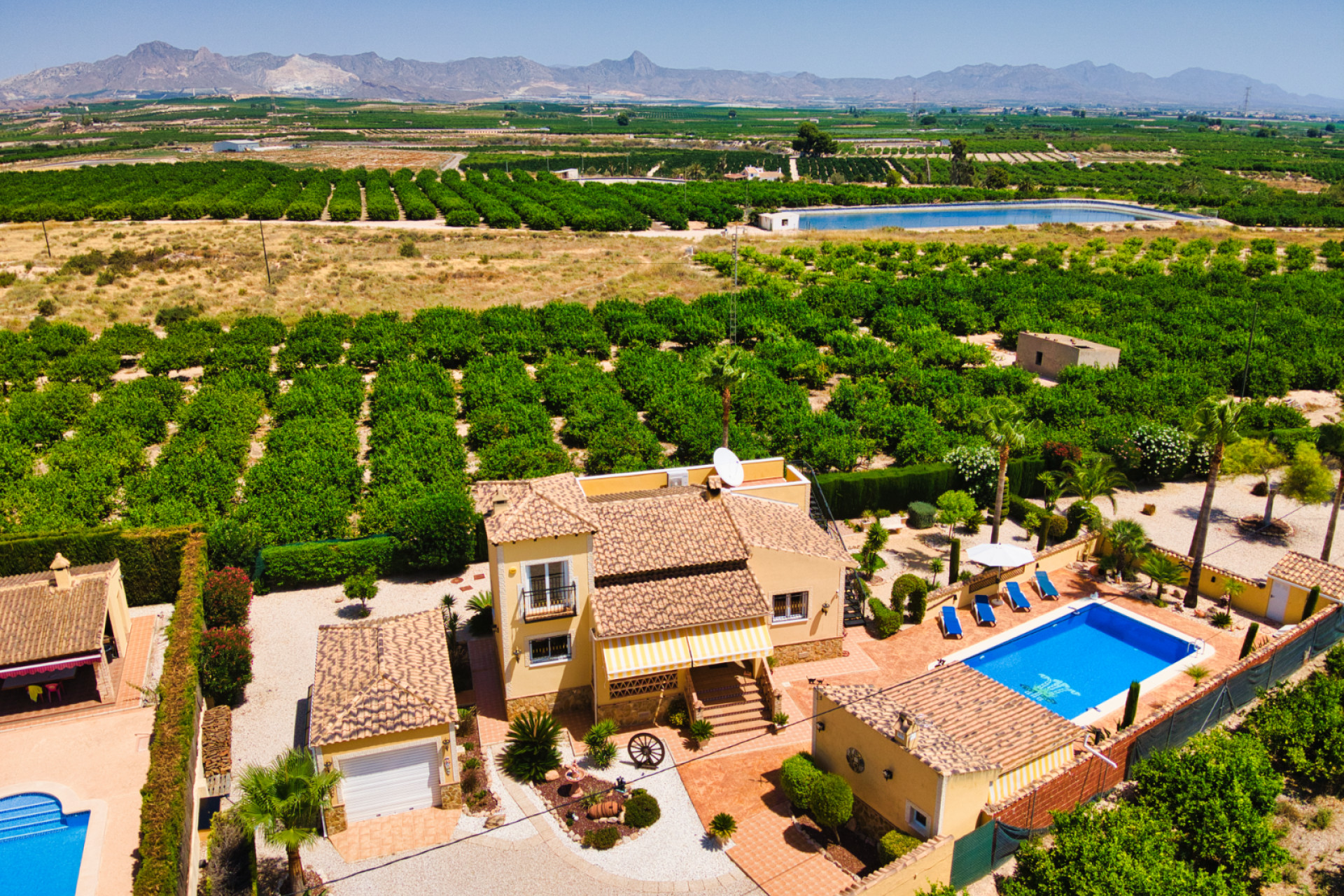 Revente - Finca / Propriété rurale - Orihuela