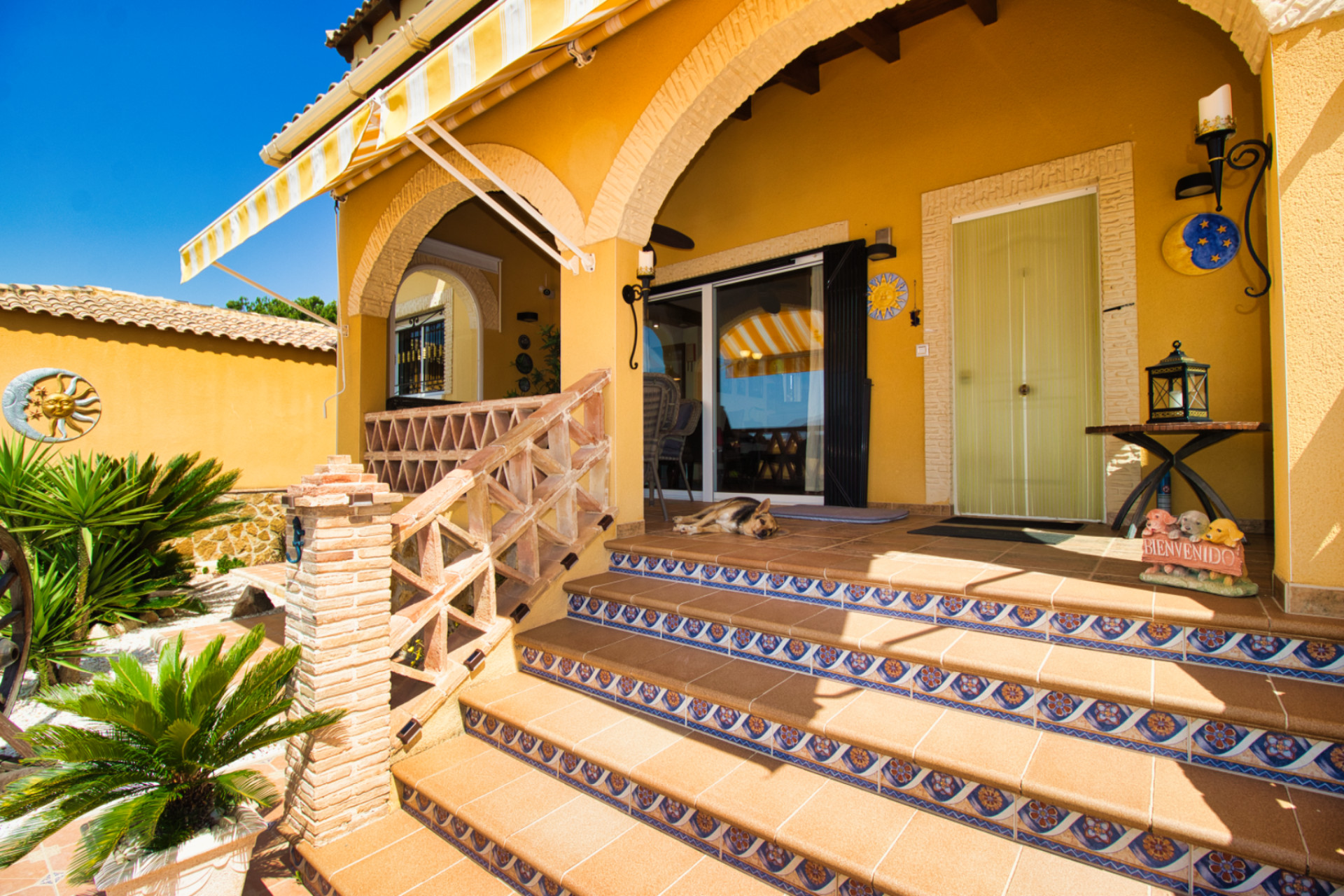 Revente - Finca / Propriété rurale - Orihuela