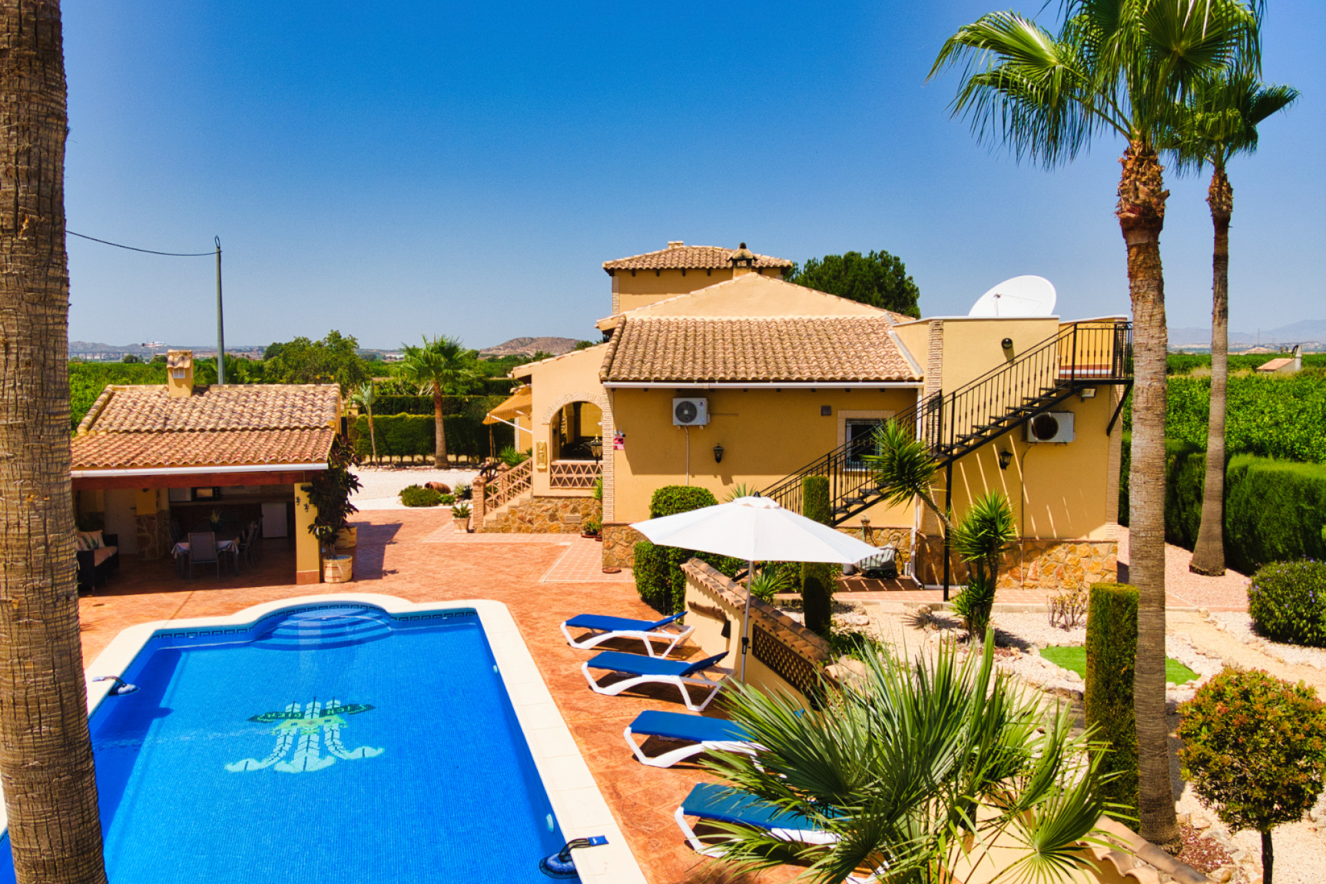 Revente - Finca / Propriété rurale - Orihuela