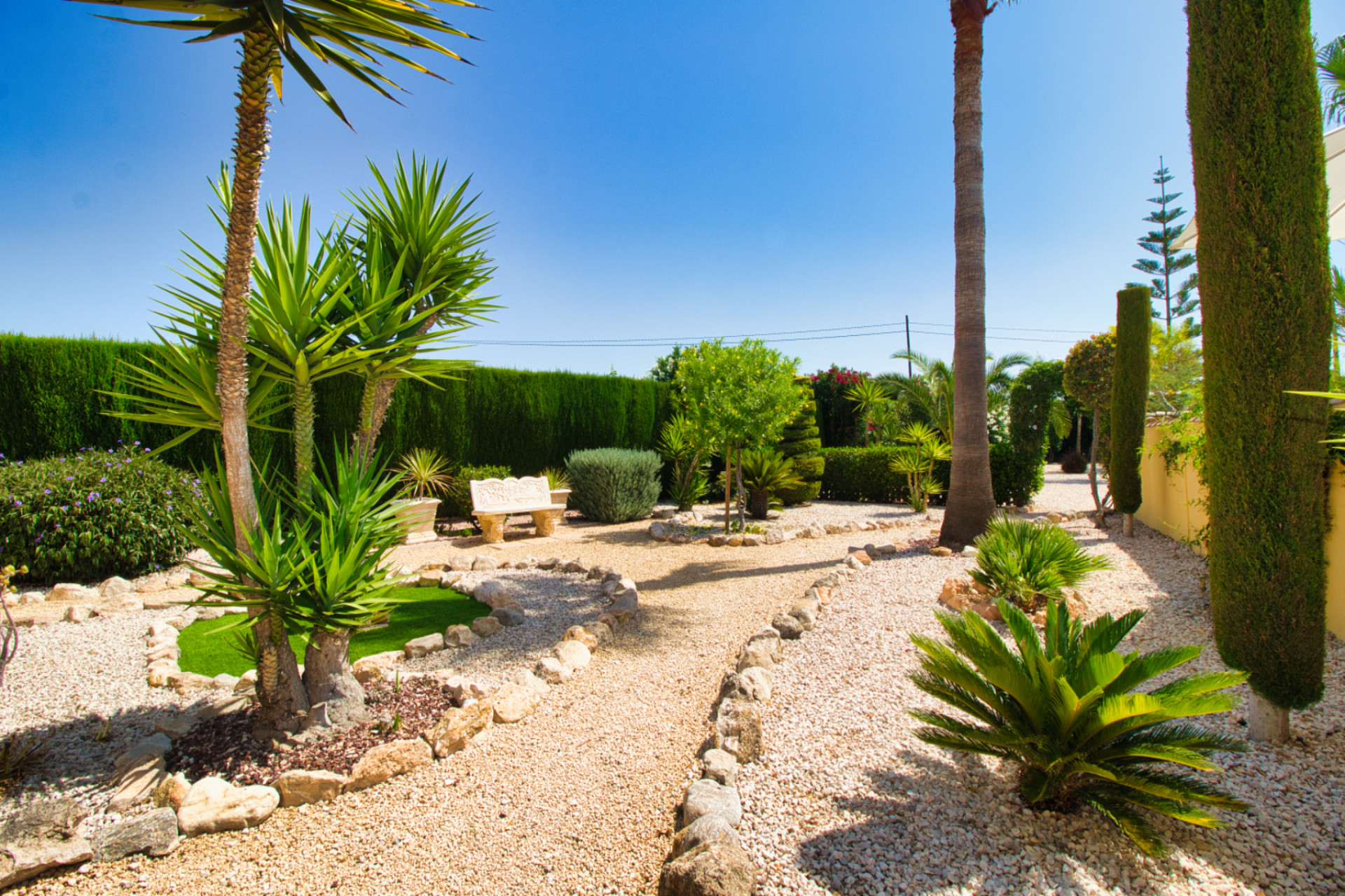 Revente - Finca / Propriété rurale - Orihuela