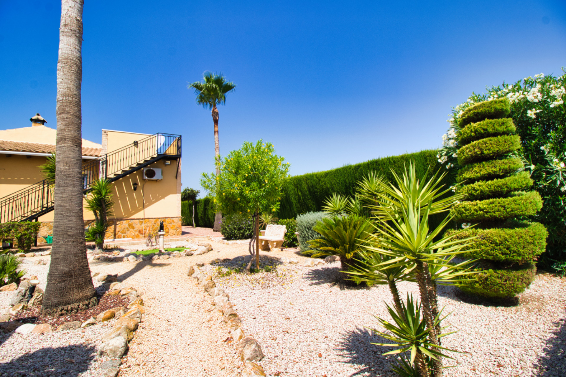 Revente - Finca / Propriété rurale - Orihuela