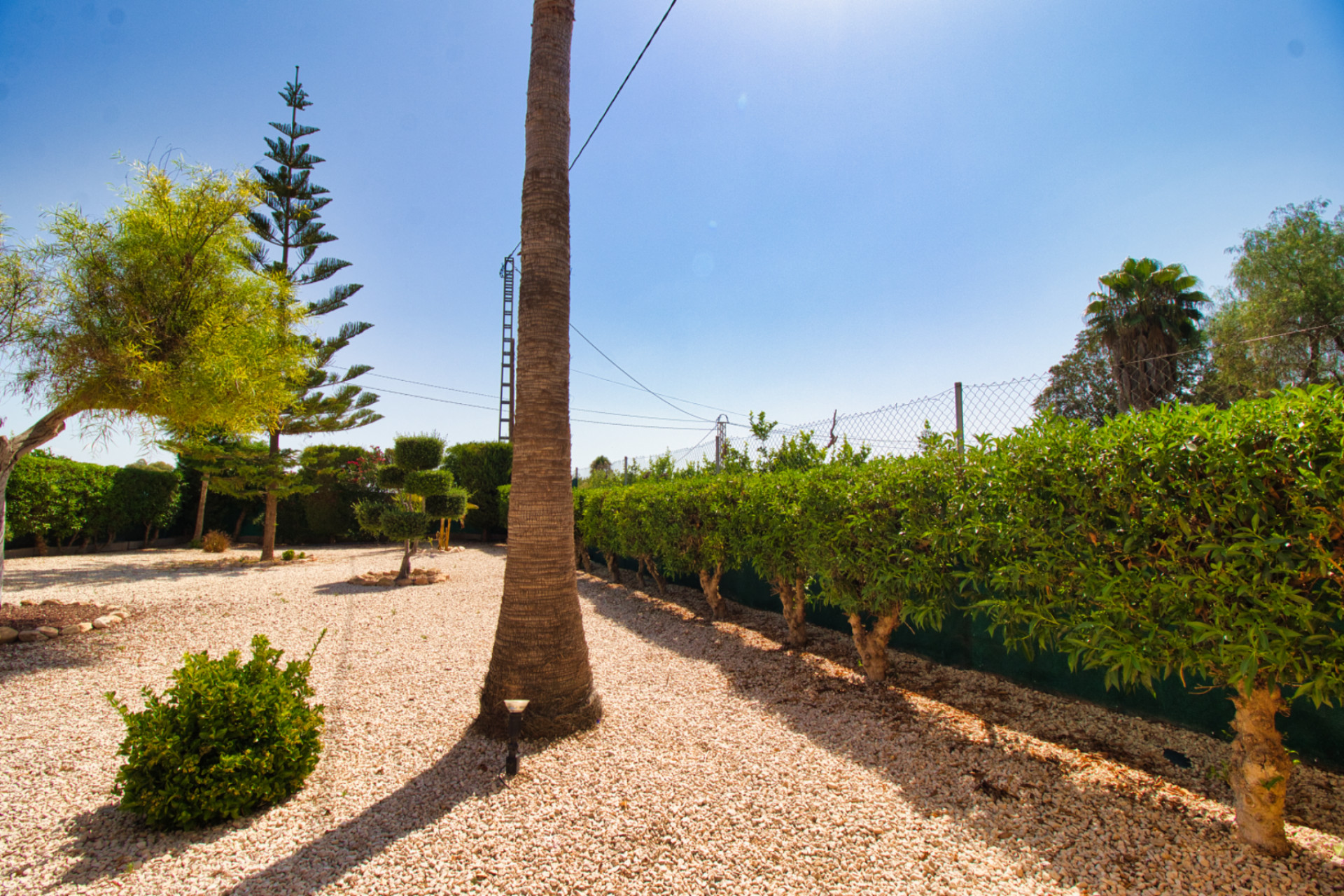 Revente - Finca / Propriété rurale - Orihuela